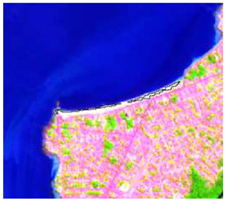 Sensors 19 01140 i012