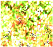 Sensors 19 01140 i013