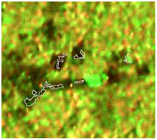 Sensors 19 01140 i022