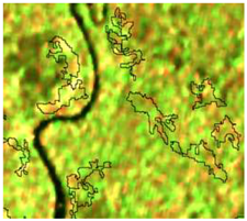 Sensors 19 01140 i025