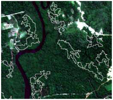 Sensors 19 01140 i026