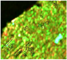 Sensors 19 01140 i028