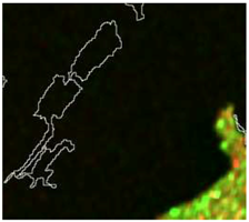 Sensors 19 01140 i031