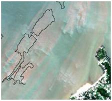 Sensors 19 01140 i032