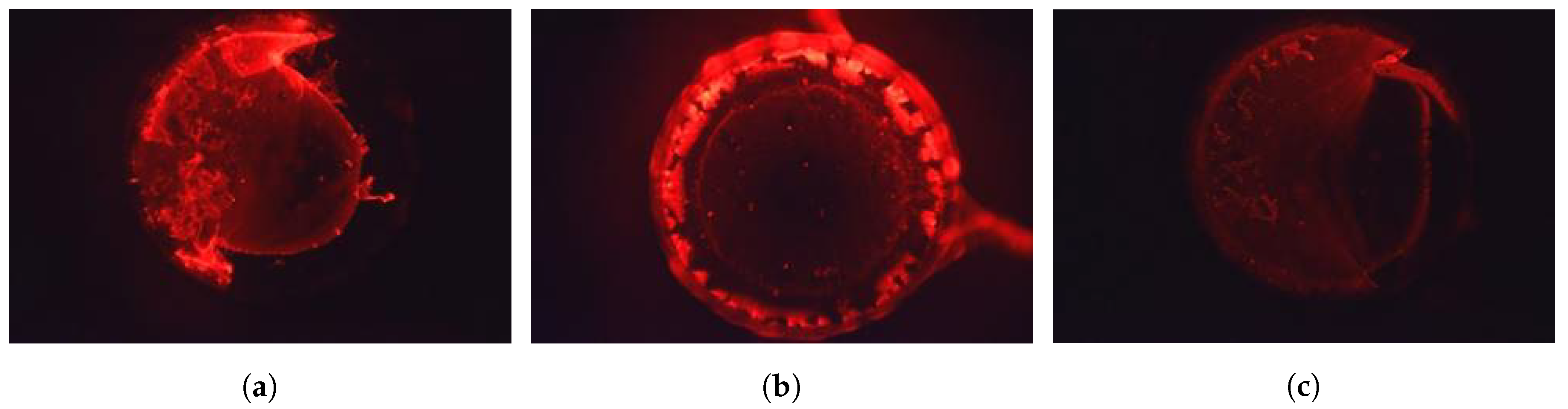 Sensors 19 01178 g003