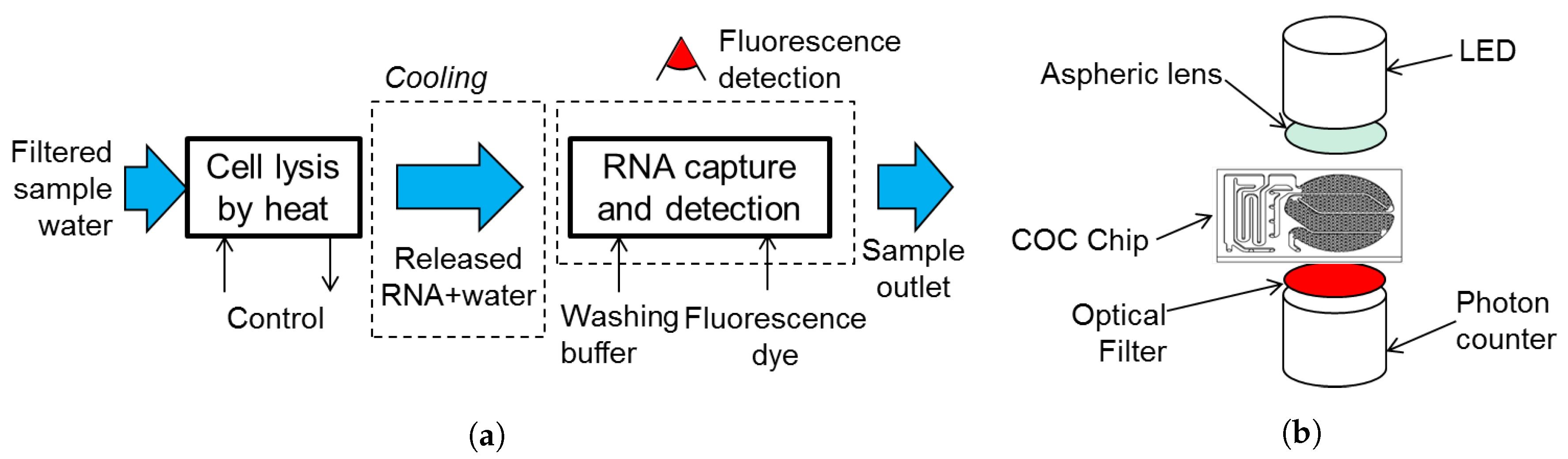 Sensors 19 01178 g005