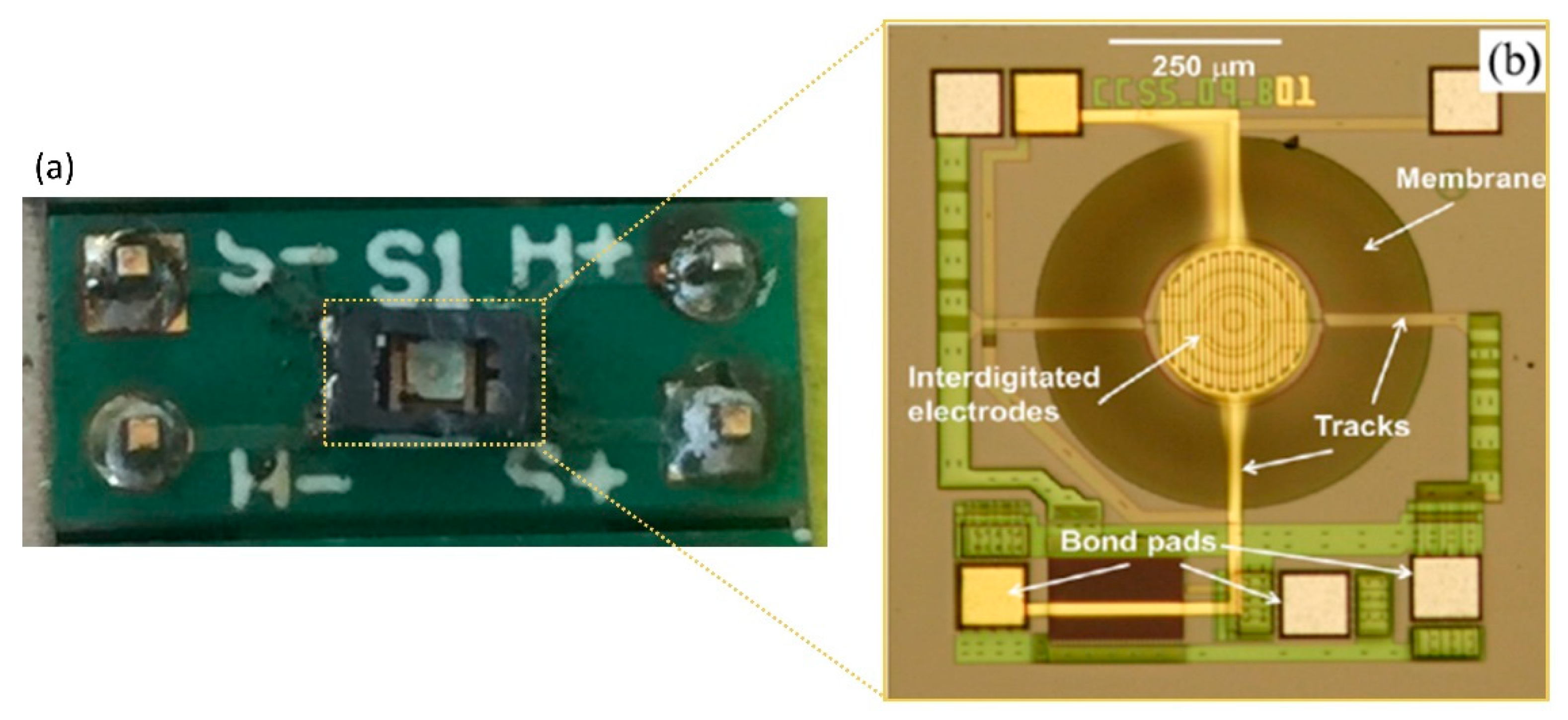 Sensors 19 01180 g002