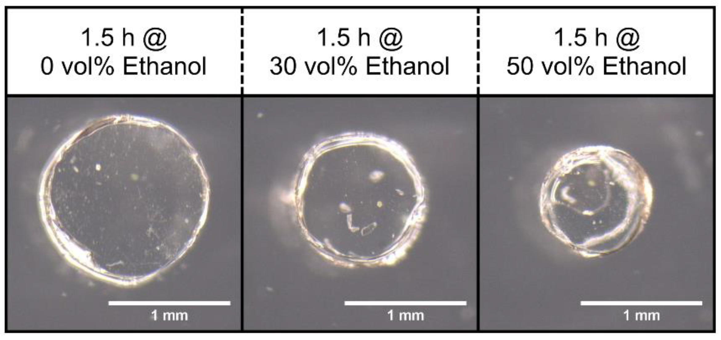 Sensors 19 01199 g003