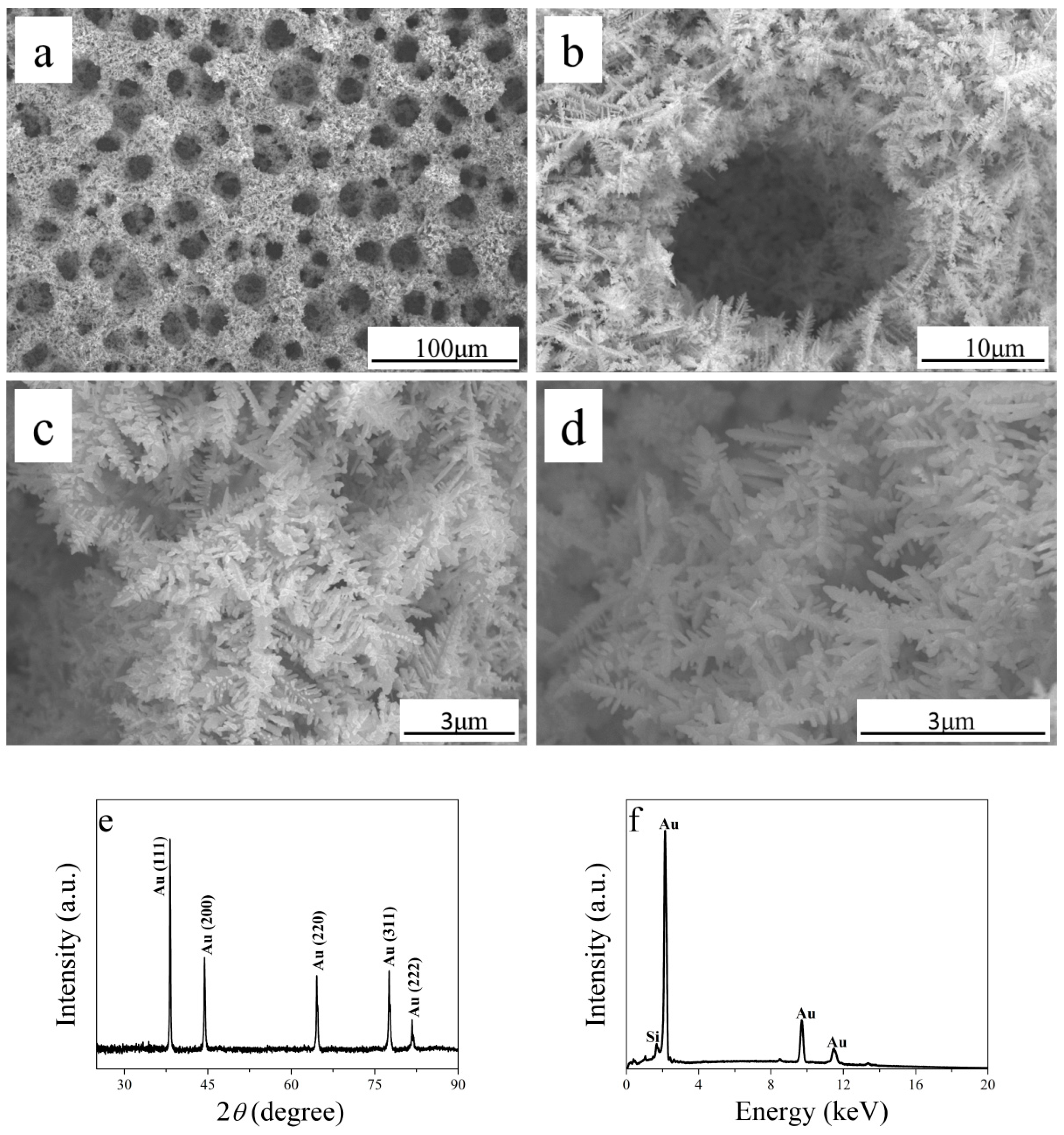 Sensors 19 01203 g001