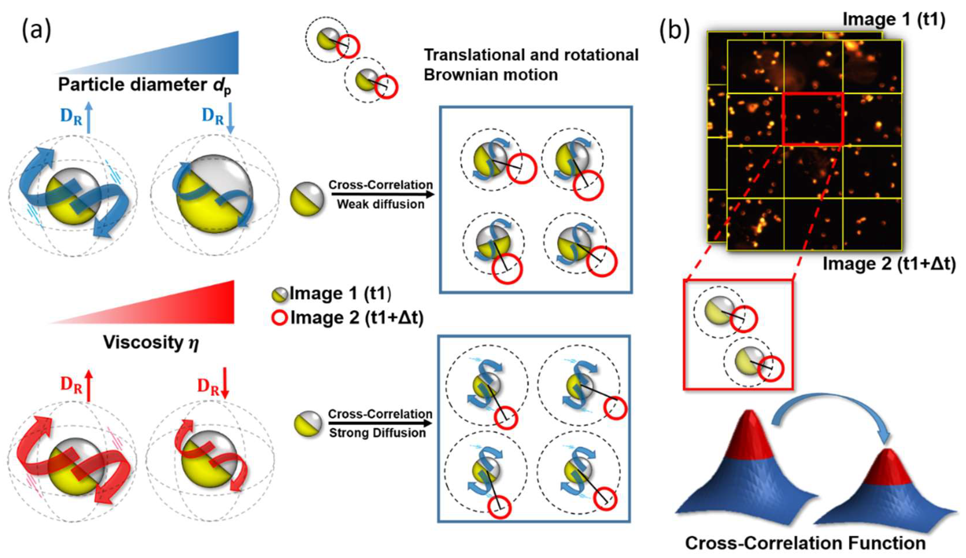 Sensors 19 01217 g001