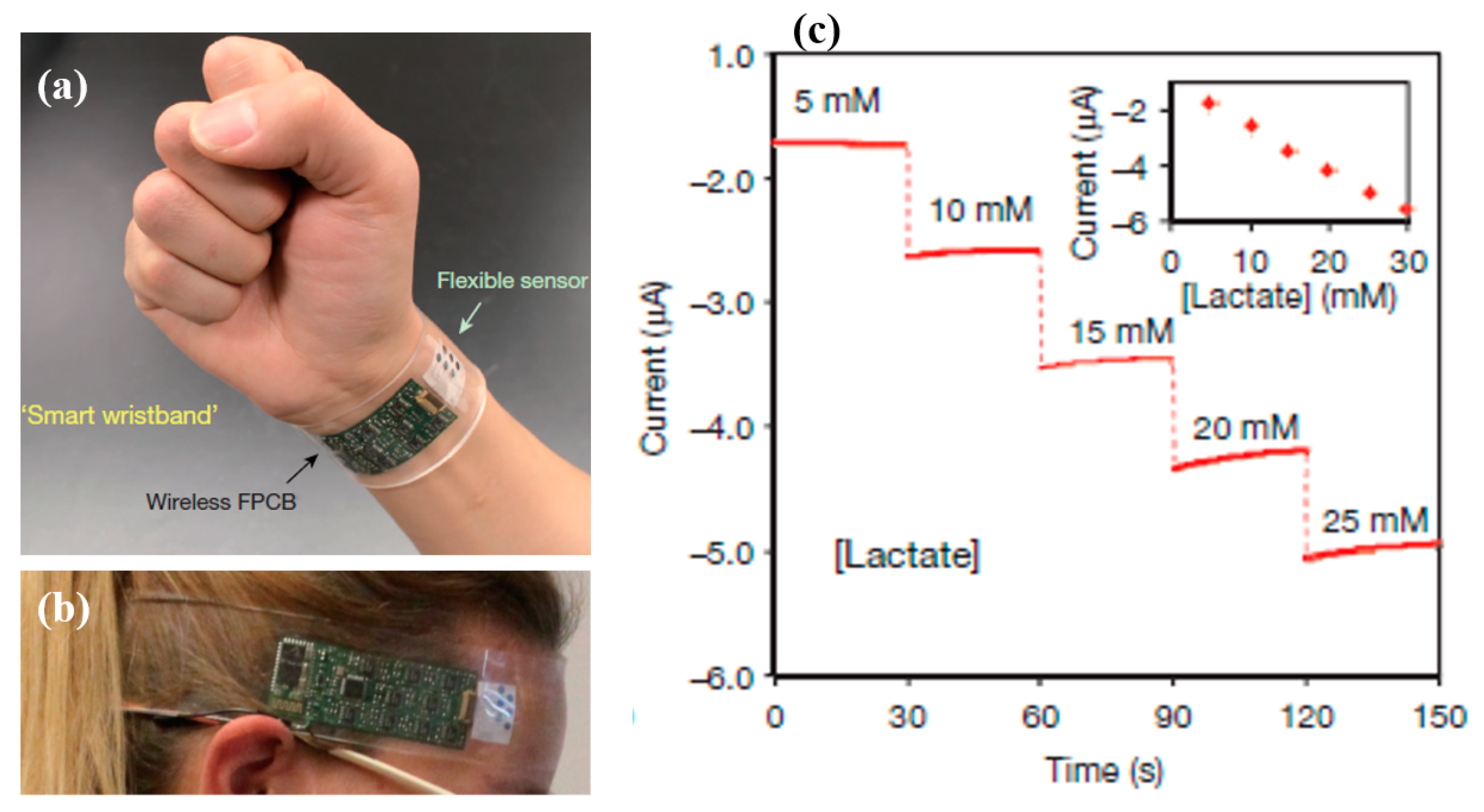 Sensors 19 01230 g007