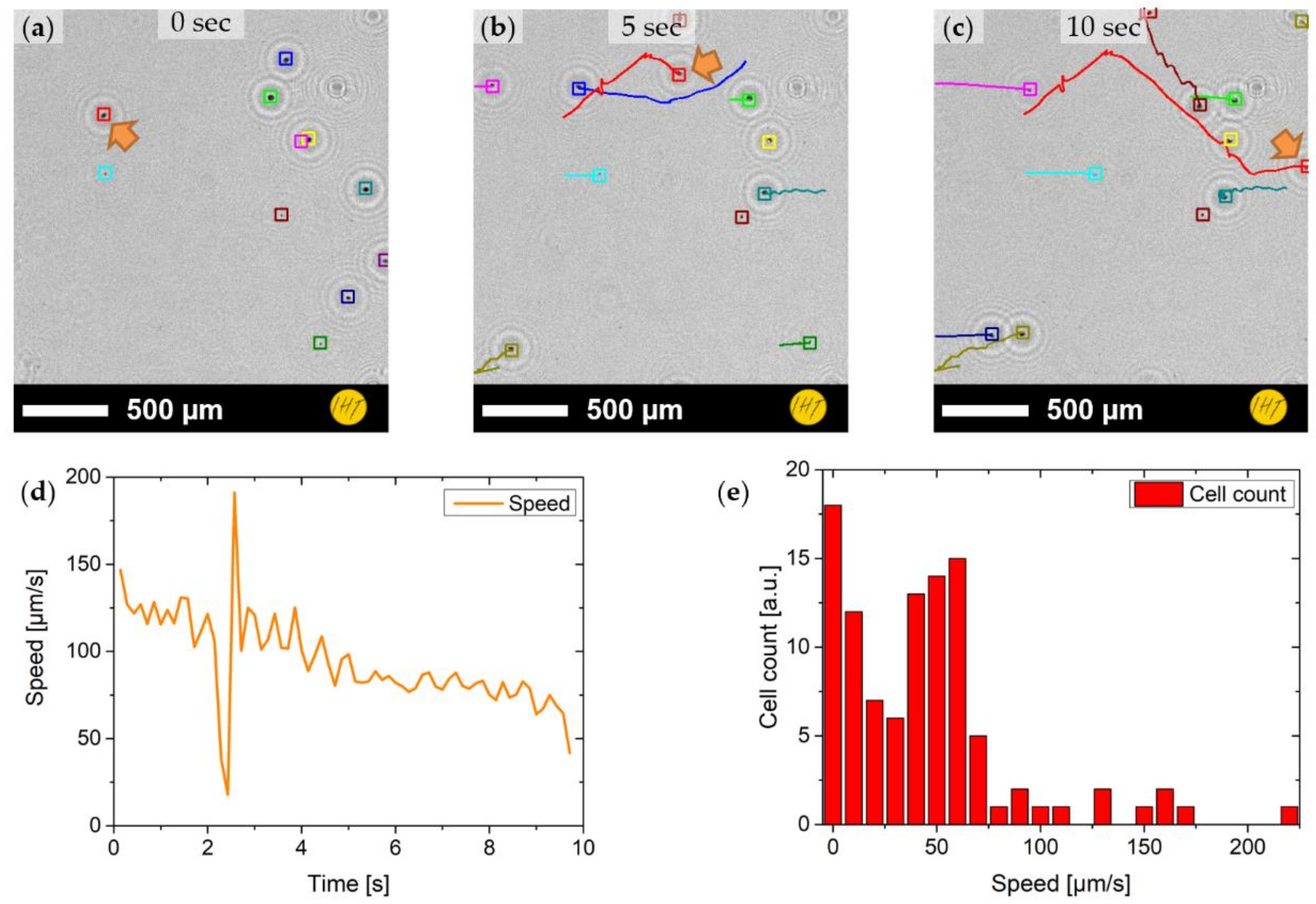 Sensors 19 01234 g008
