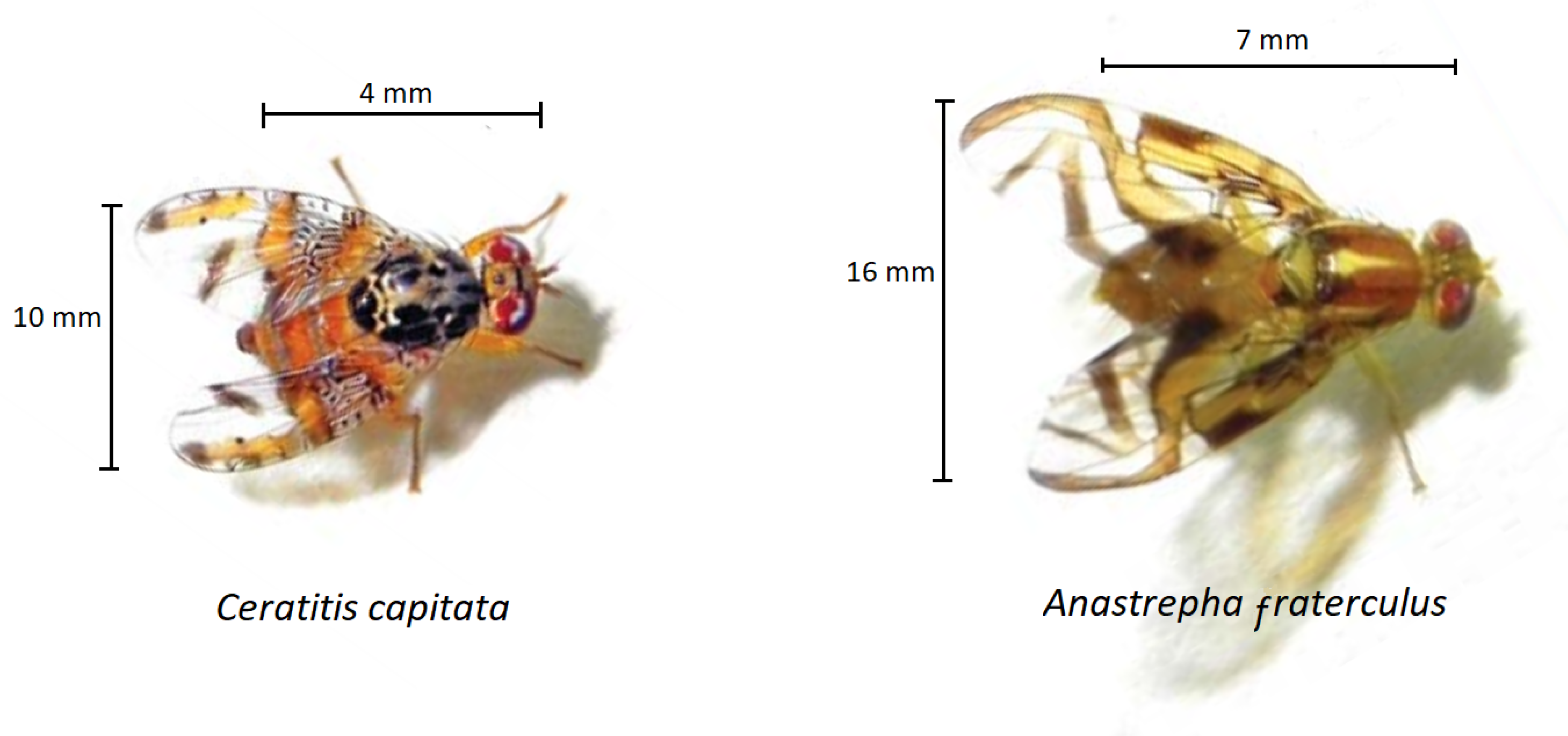 Sensors 19 01254 g001