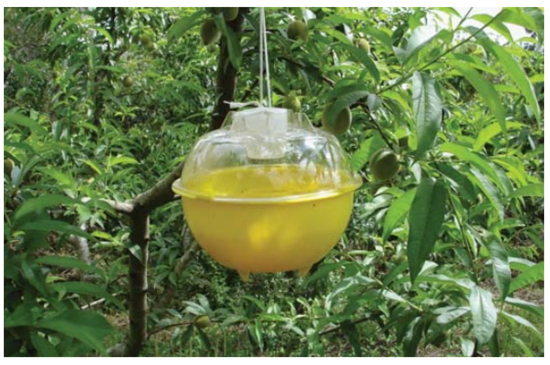 Sensors 19 01254 g002