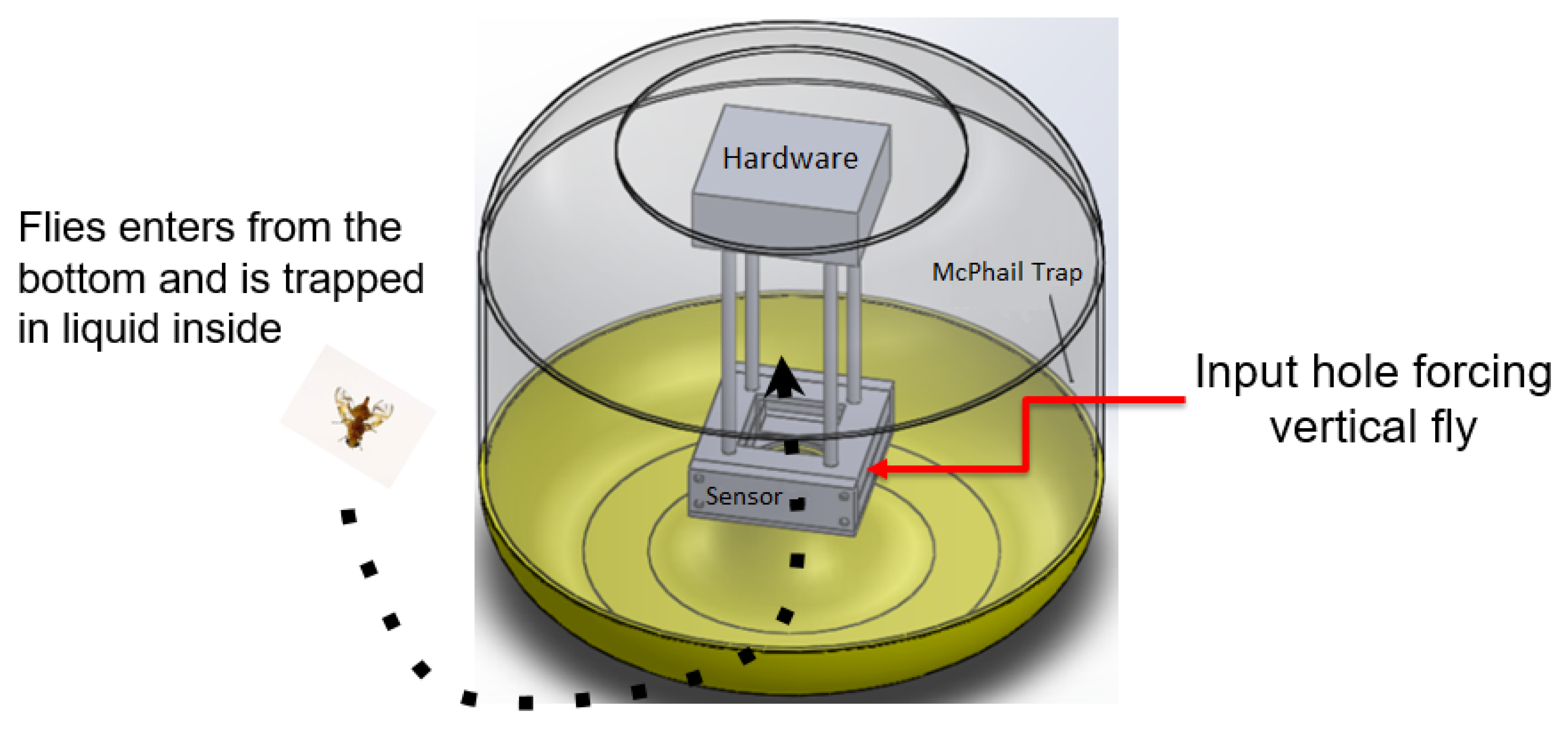 Sensors 19 01254 g004