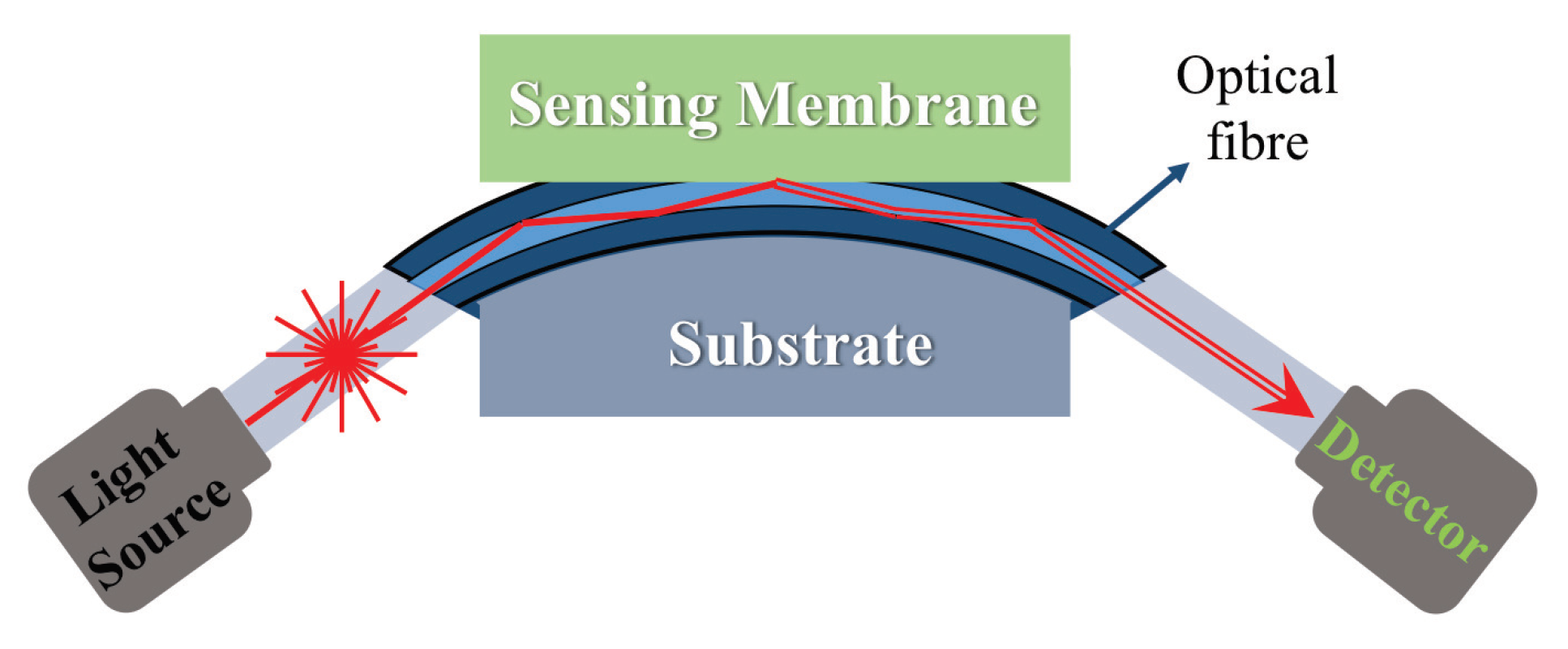 Sensors 19 01285 g012