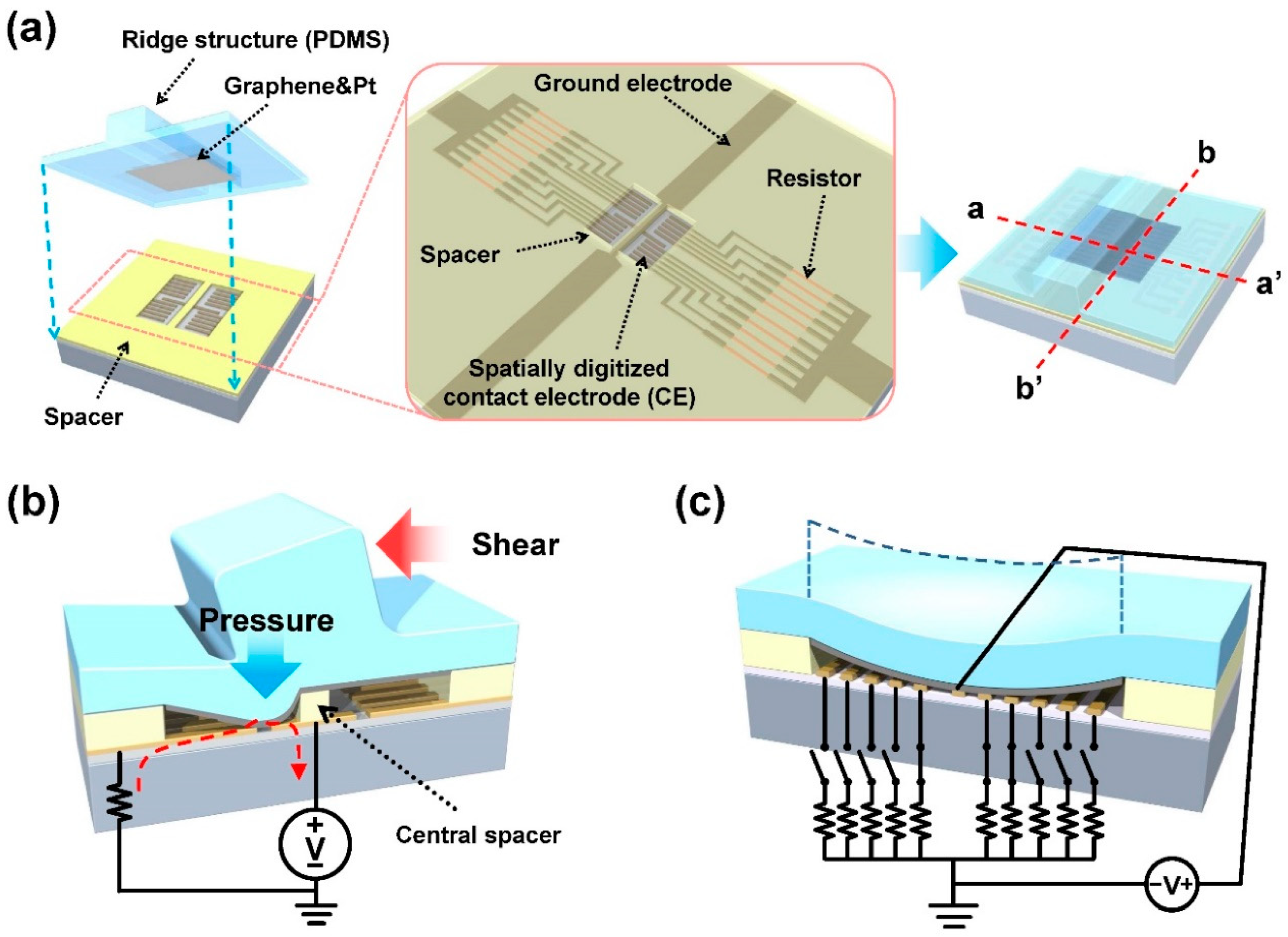 Sensors 19 01300 g001