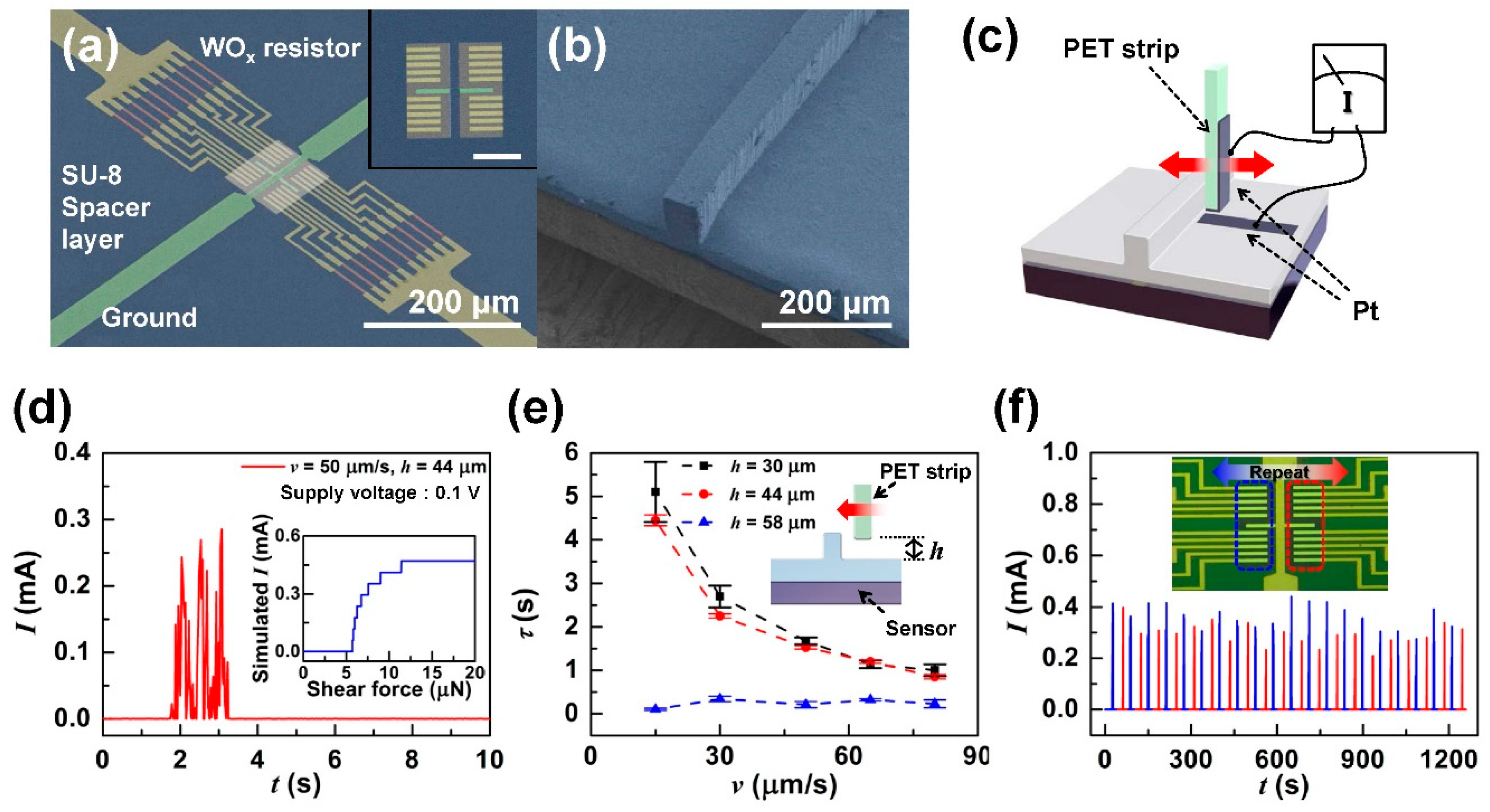 Sensors 19 01300 g003