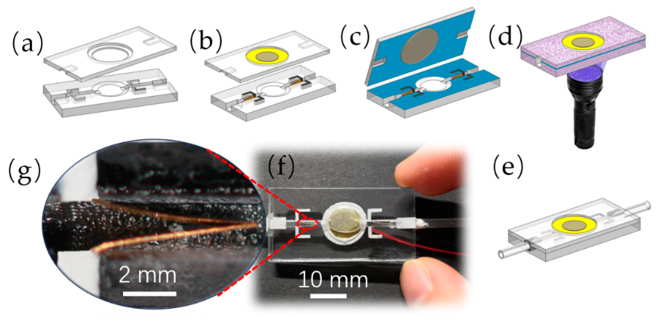 Sensors 19 01301 g003