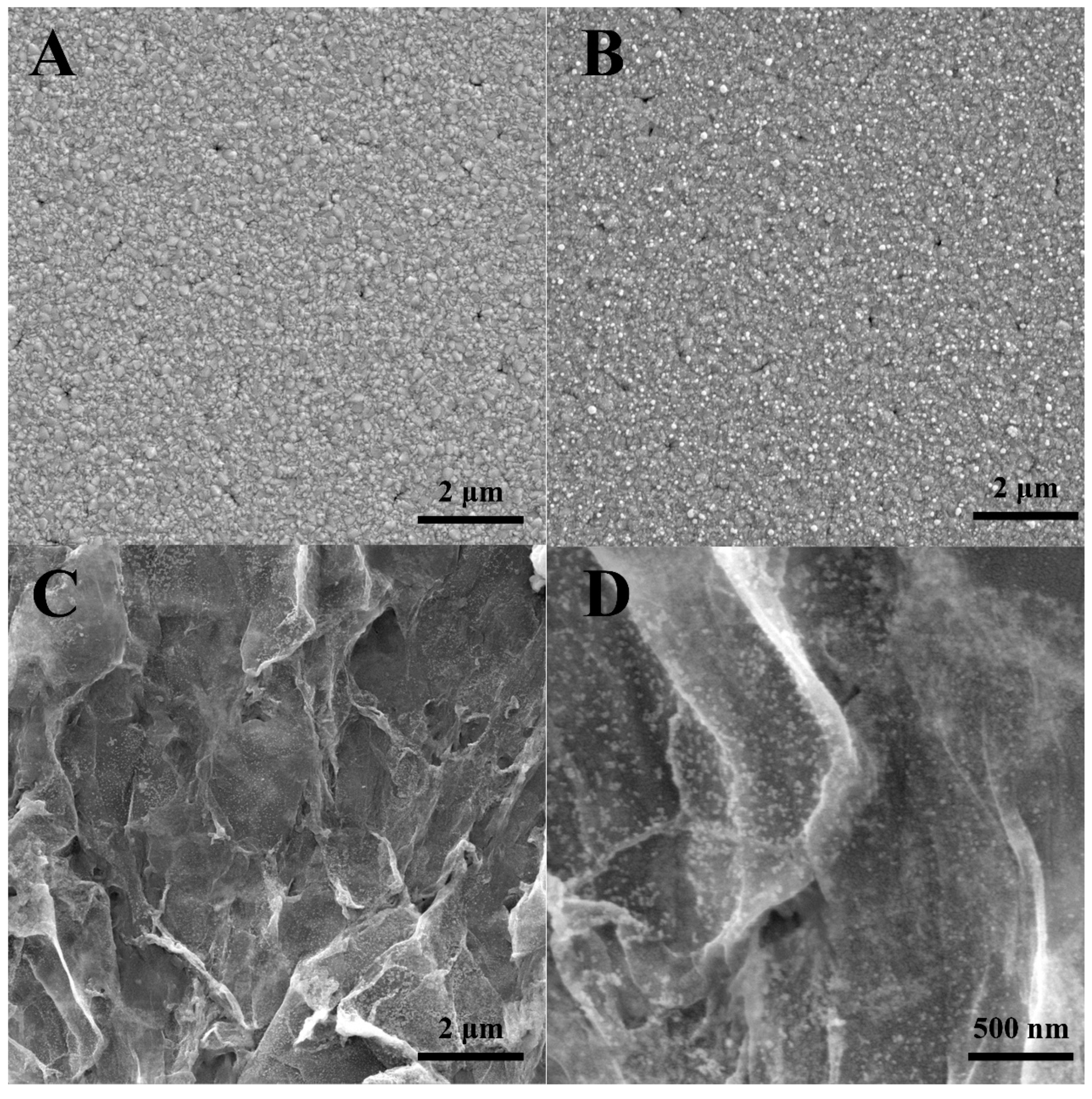 Sensors 19 01304 g002