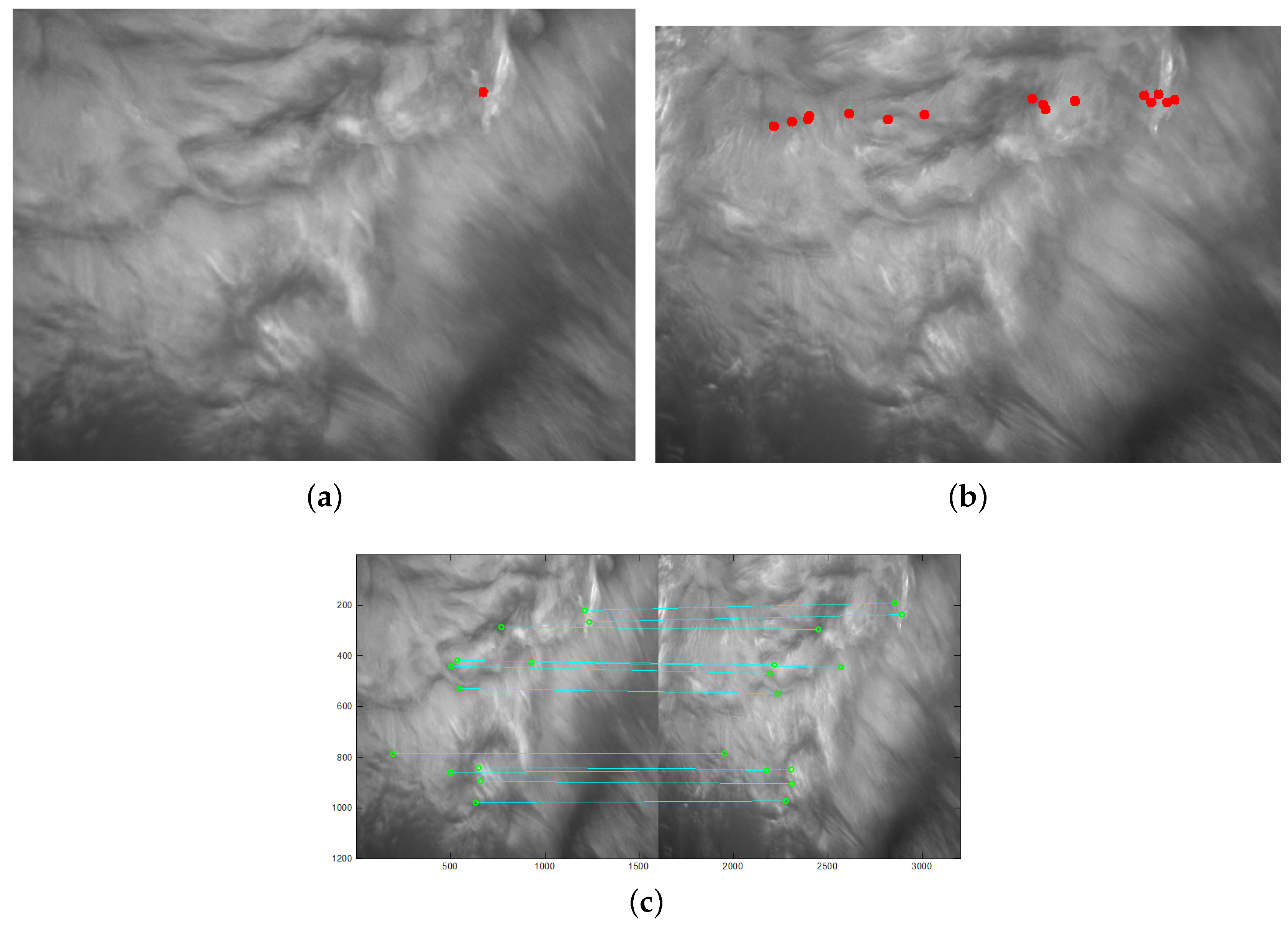 Sensors 19 01338 g005
