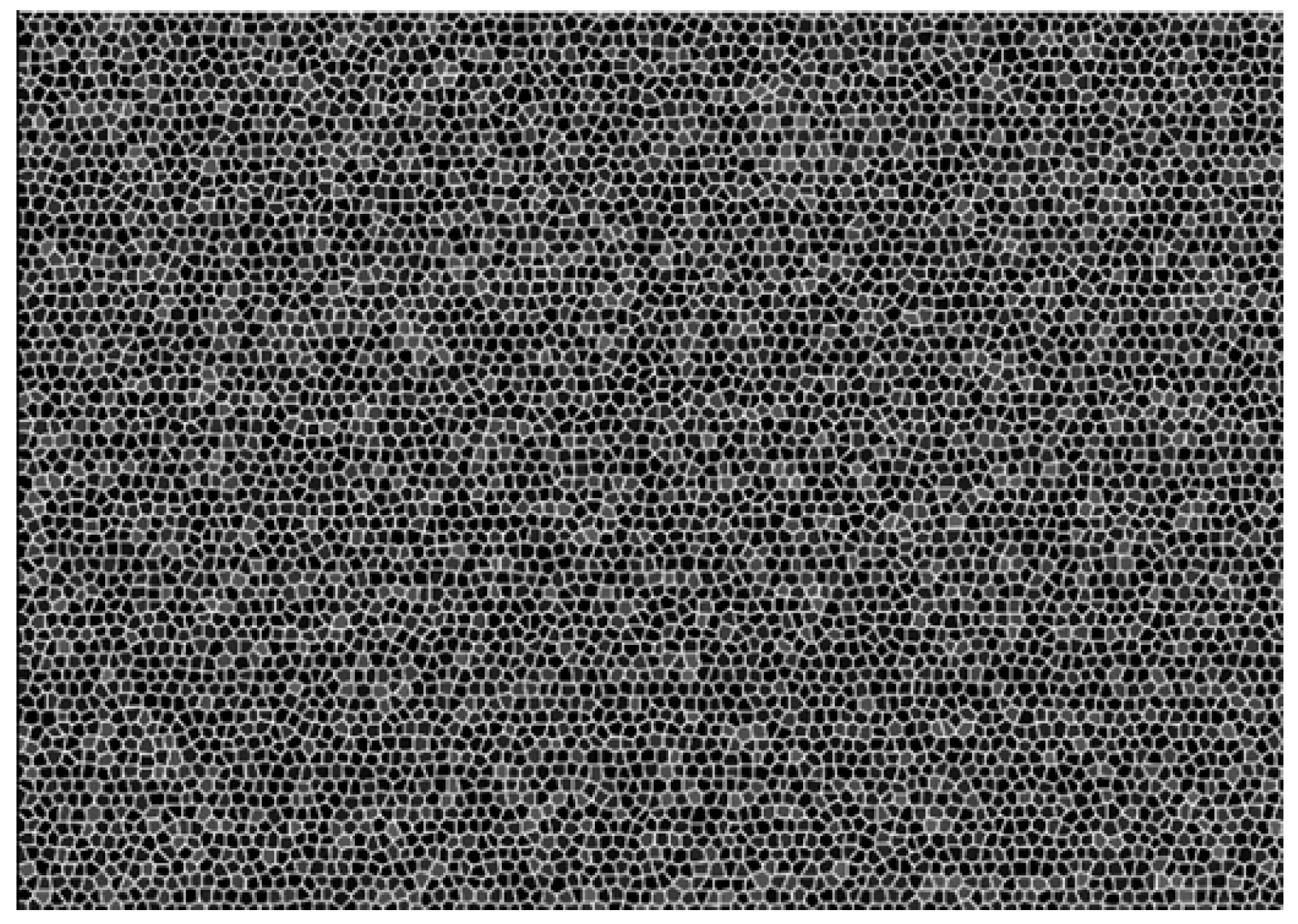 Sensors 19 01338 g007