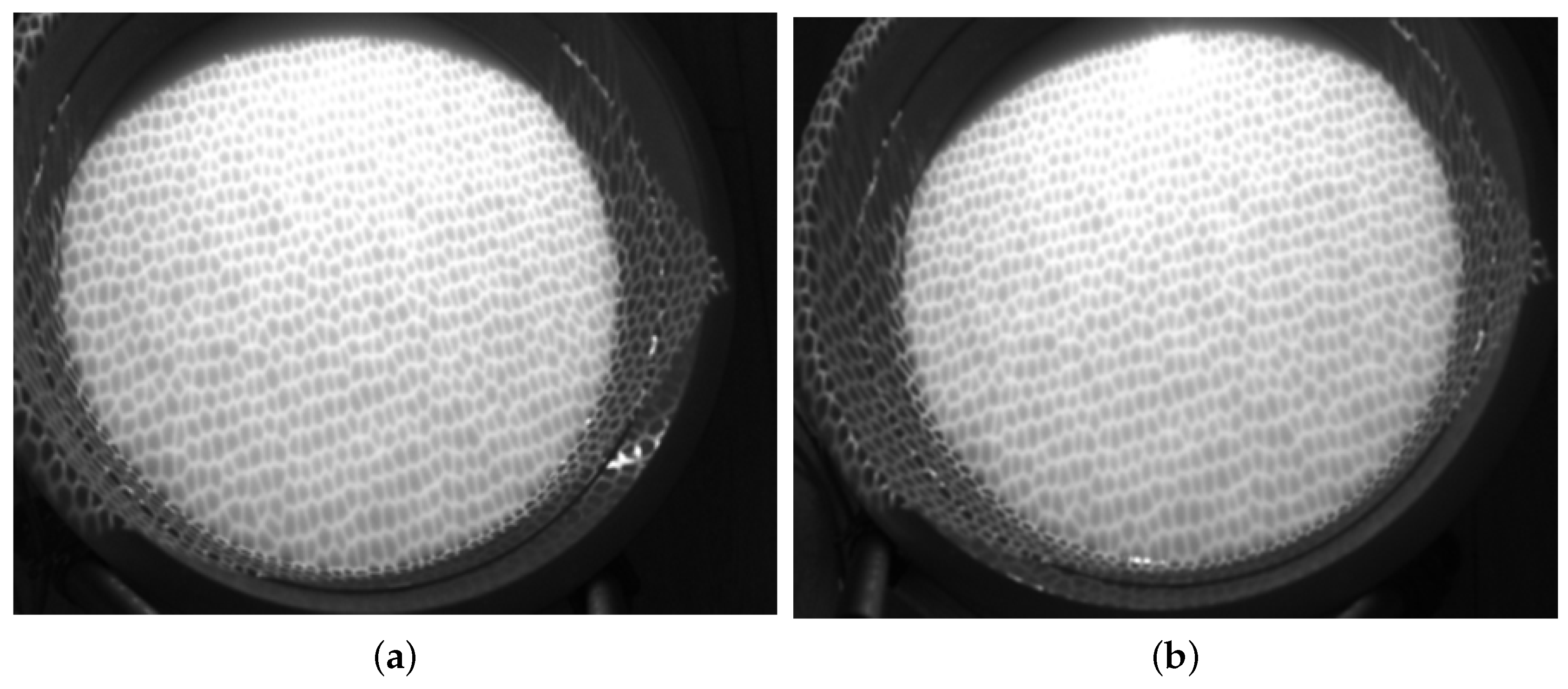 Sensors 19 01338 g008