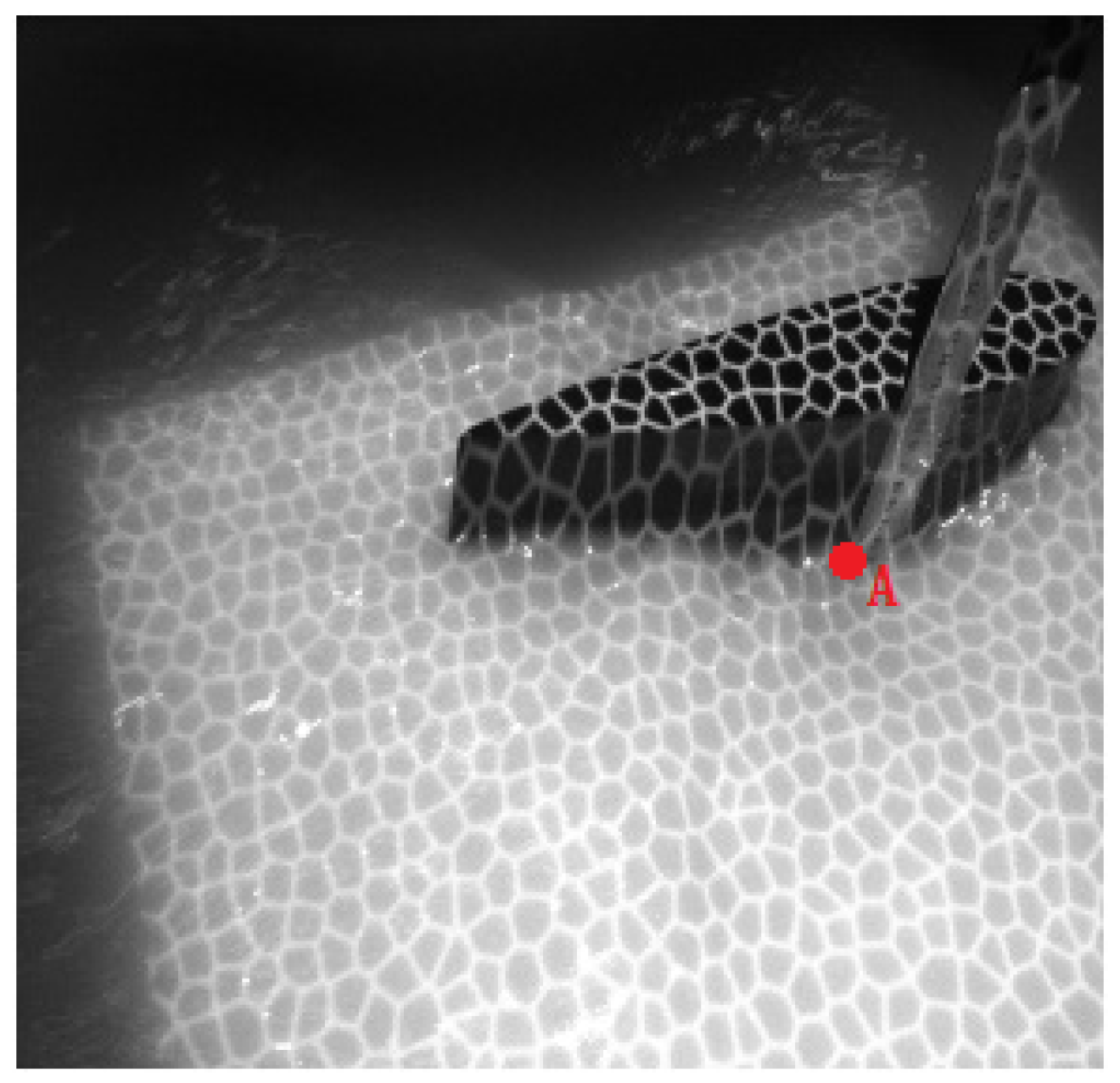 Sensors 19 01338 g012
