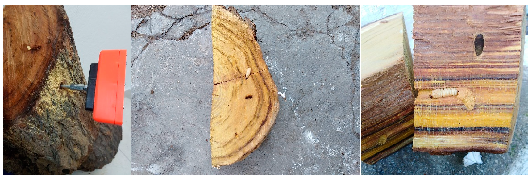 Sensors 19 01366 g009