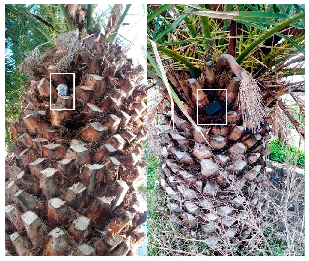 Sensors 19 01366 g010