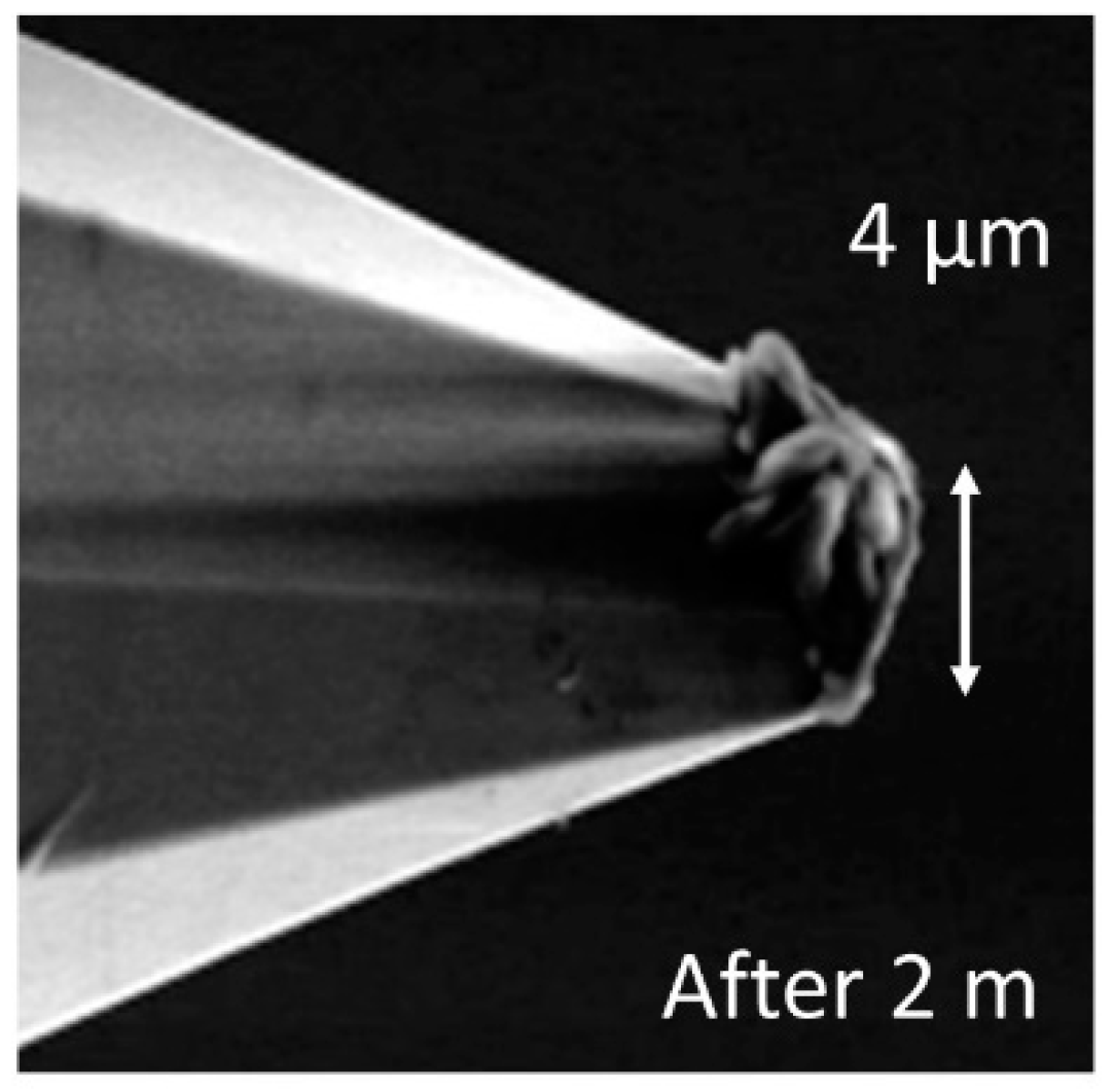 Sensors 19 01410 g018