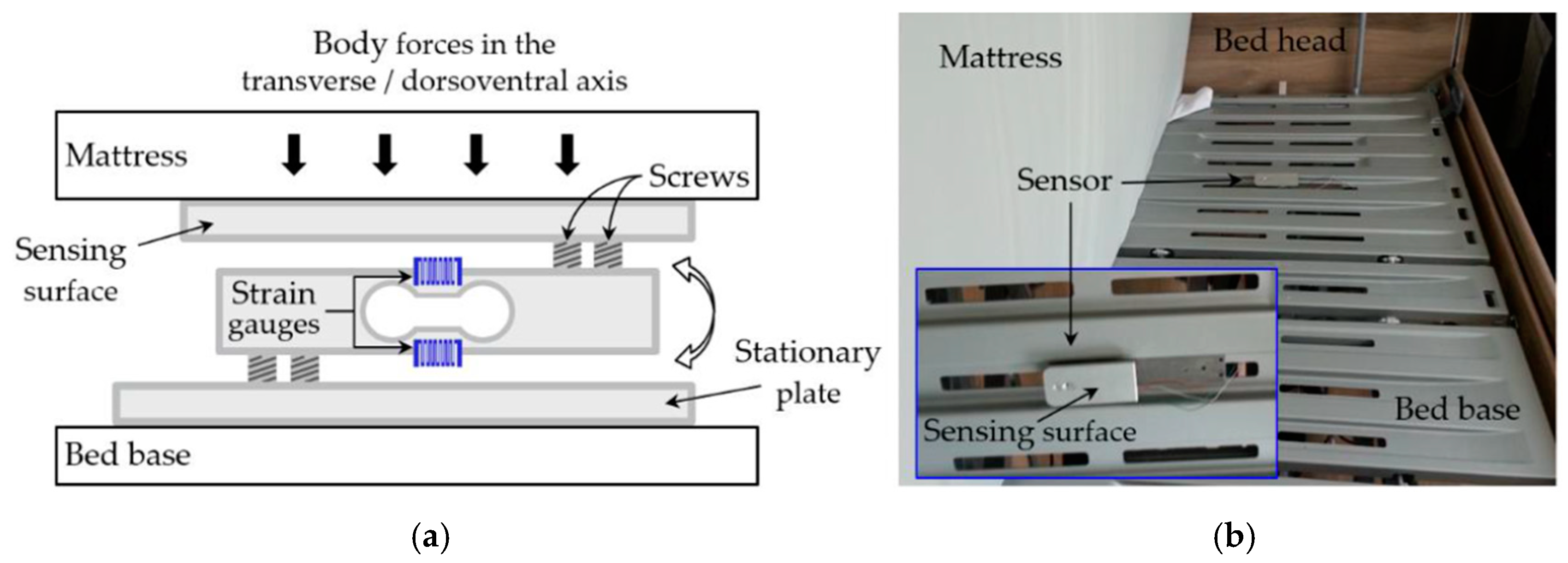Sensors 19 01451 g002
