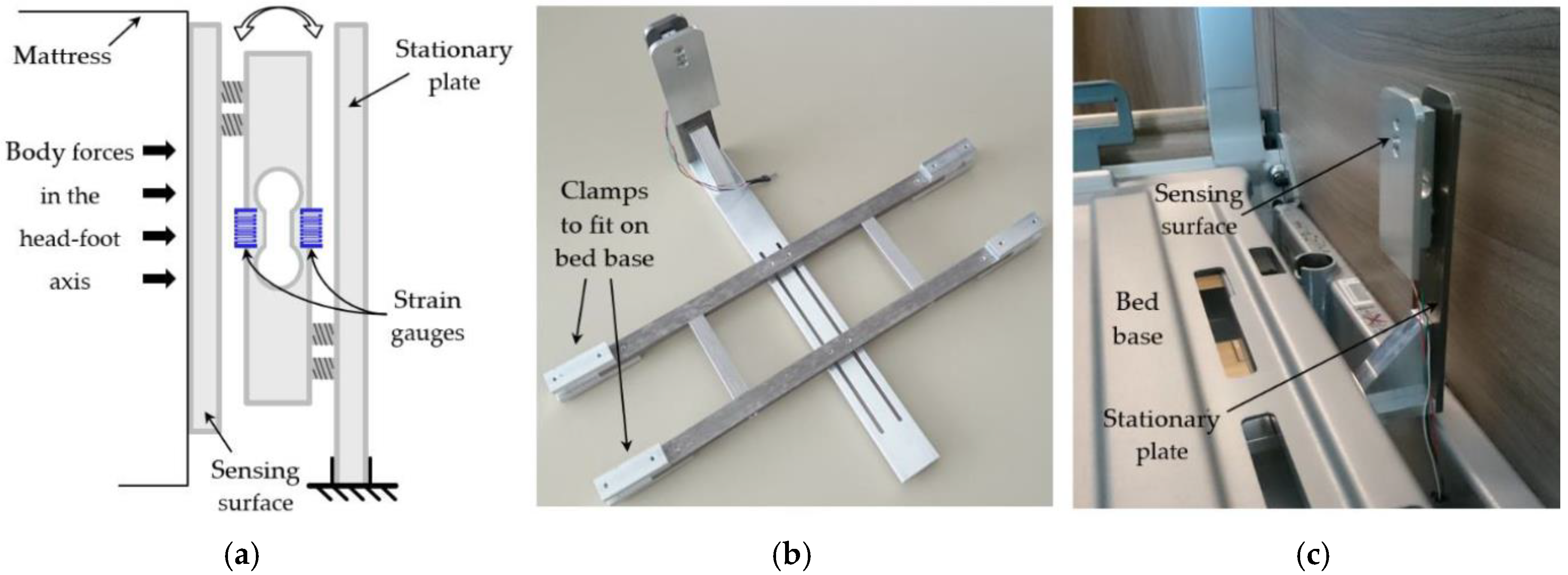 Sensors 19 01451 g003