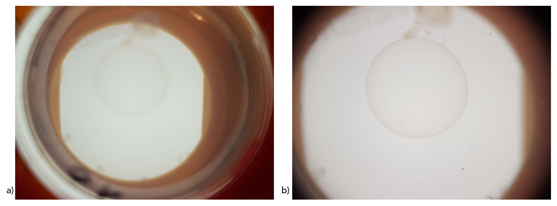 Sensors 19 01468 g003
