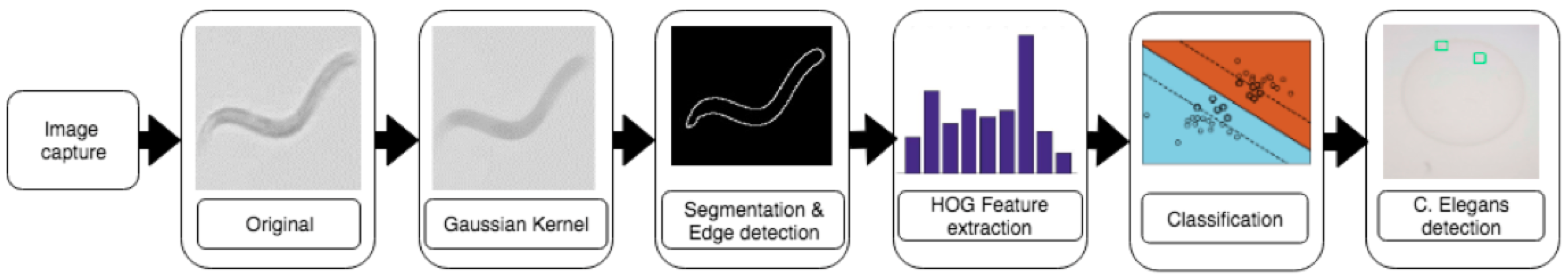 Sensors 19 01468 g006
