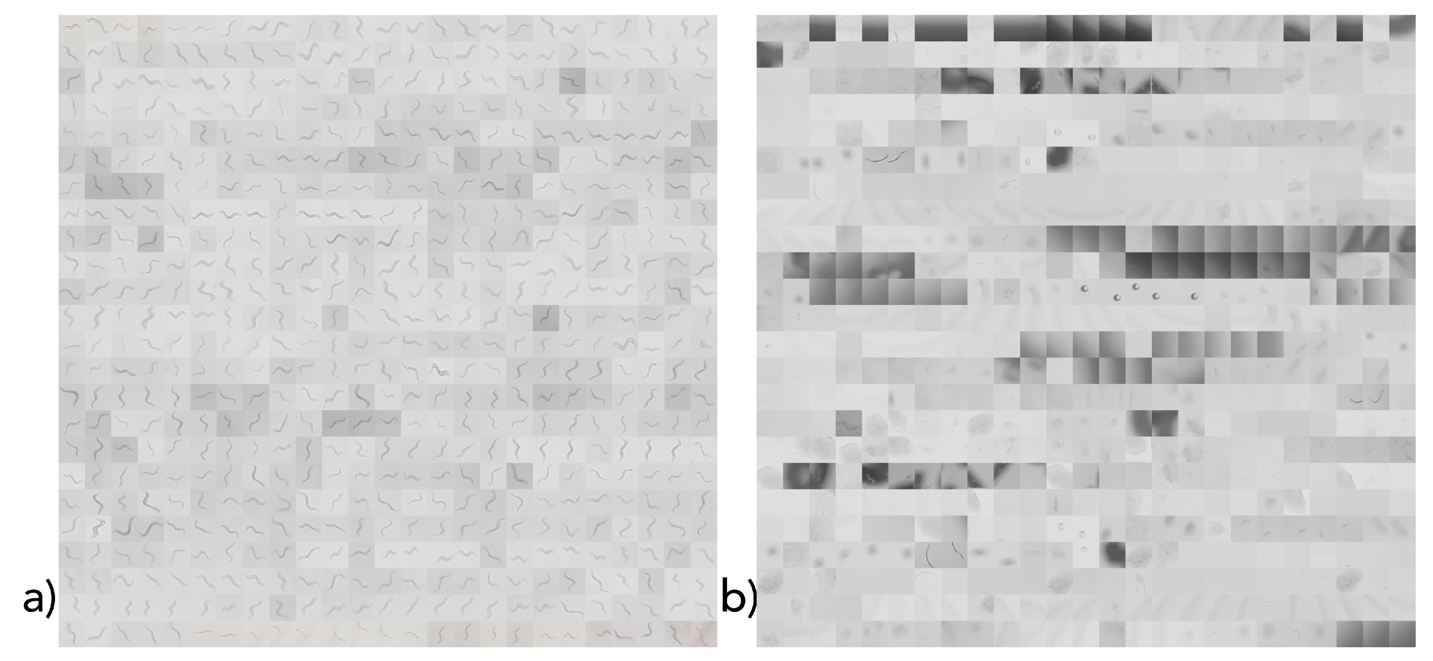 Sensors 19 01468 g007