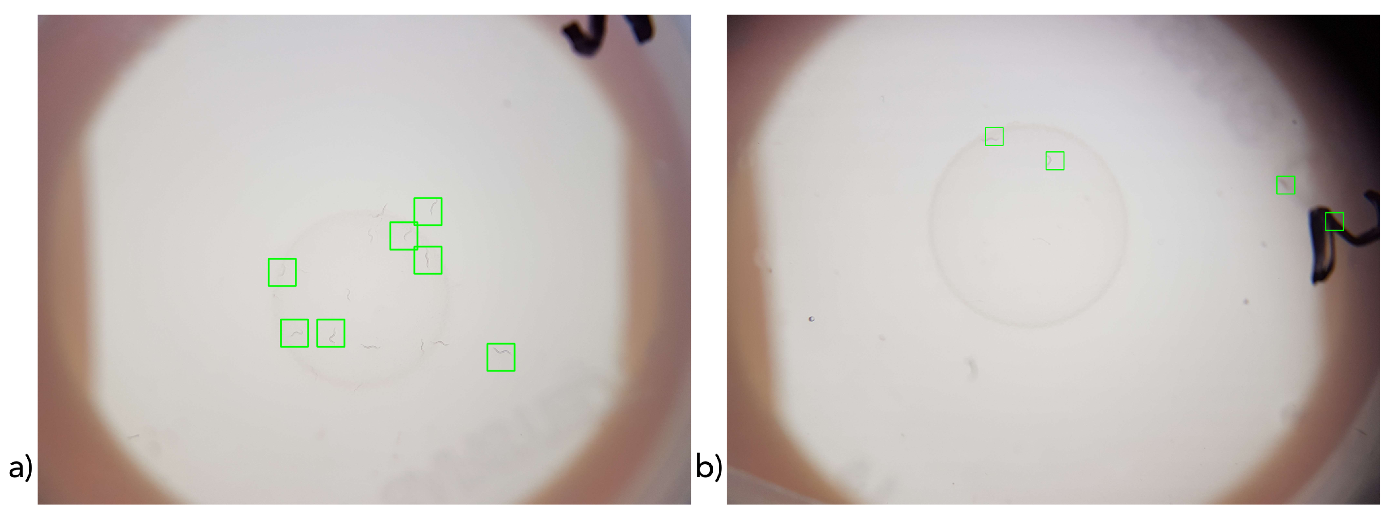 Sensors 19 01468 g008