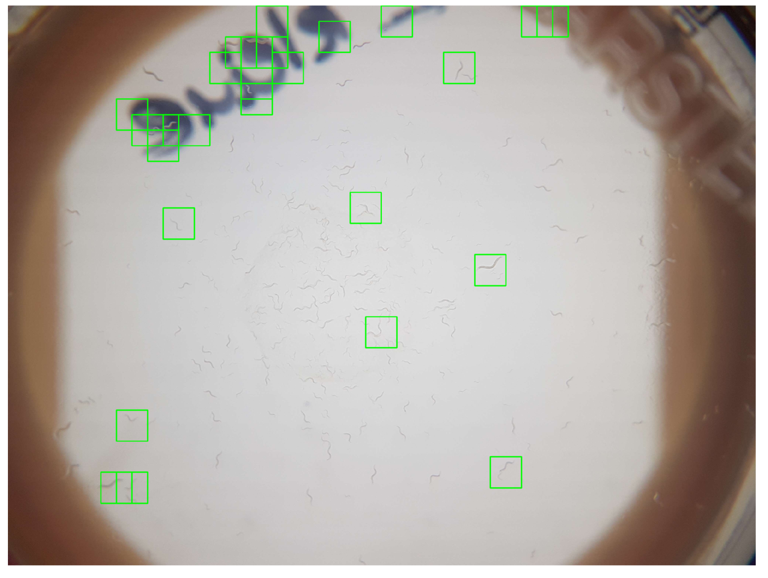 Sensors 19 01468 g009