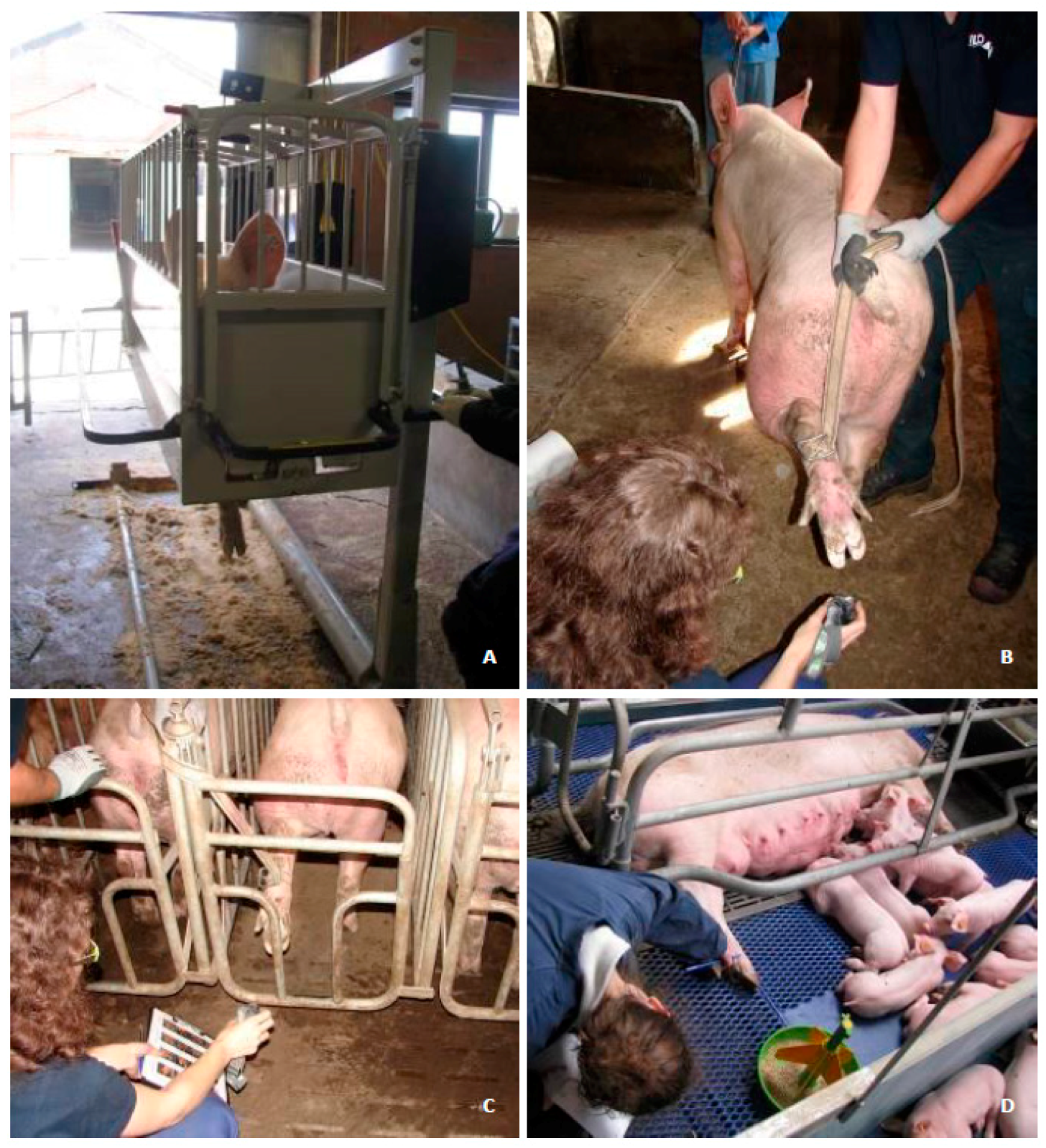 Sensors 19 01473 g001 Sensors 19 01473 g001