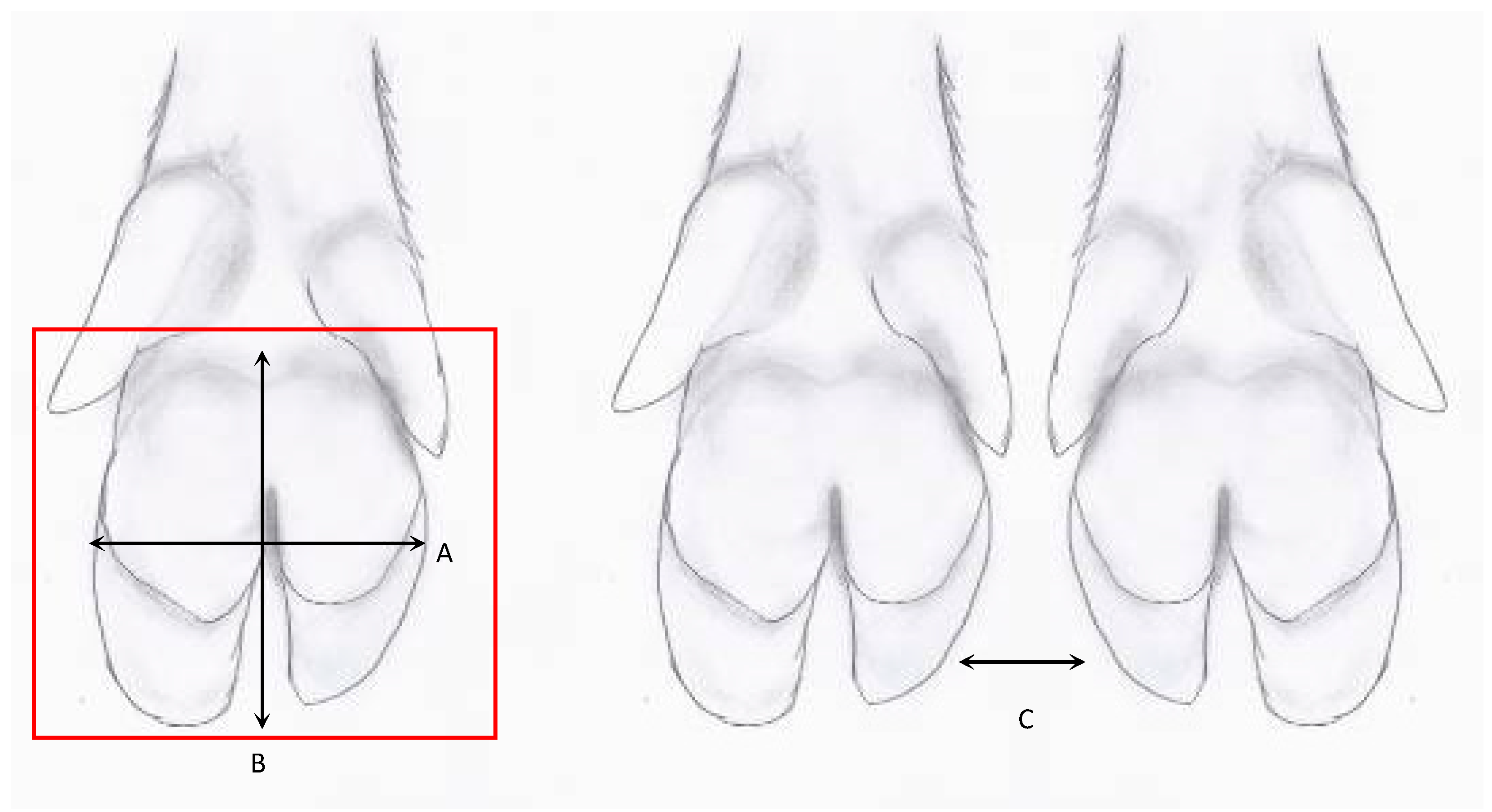 Sensors 19 01473 g004 Sensors 19 01473 g004