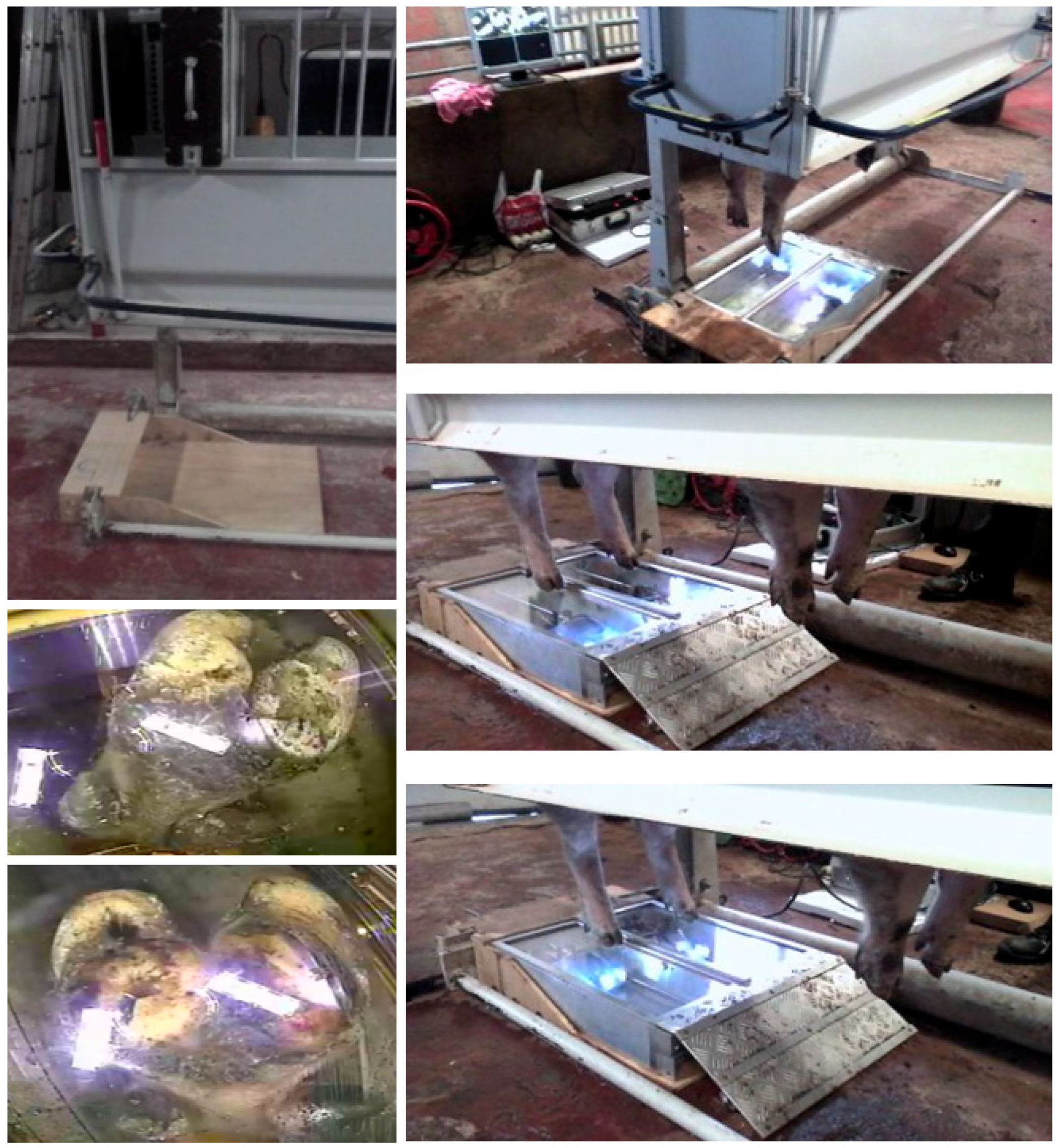 Sensors 19 01473 g005 Sensors 19 01473 g005