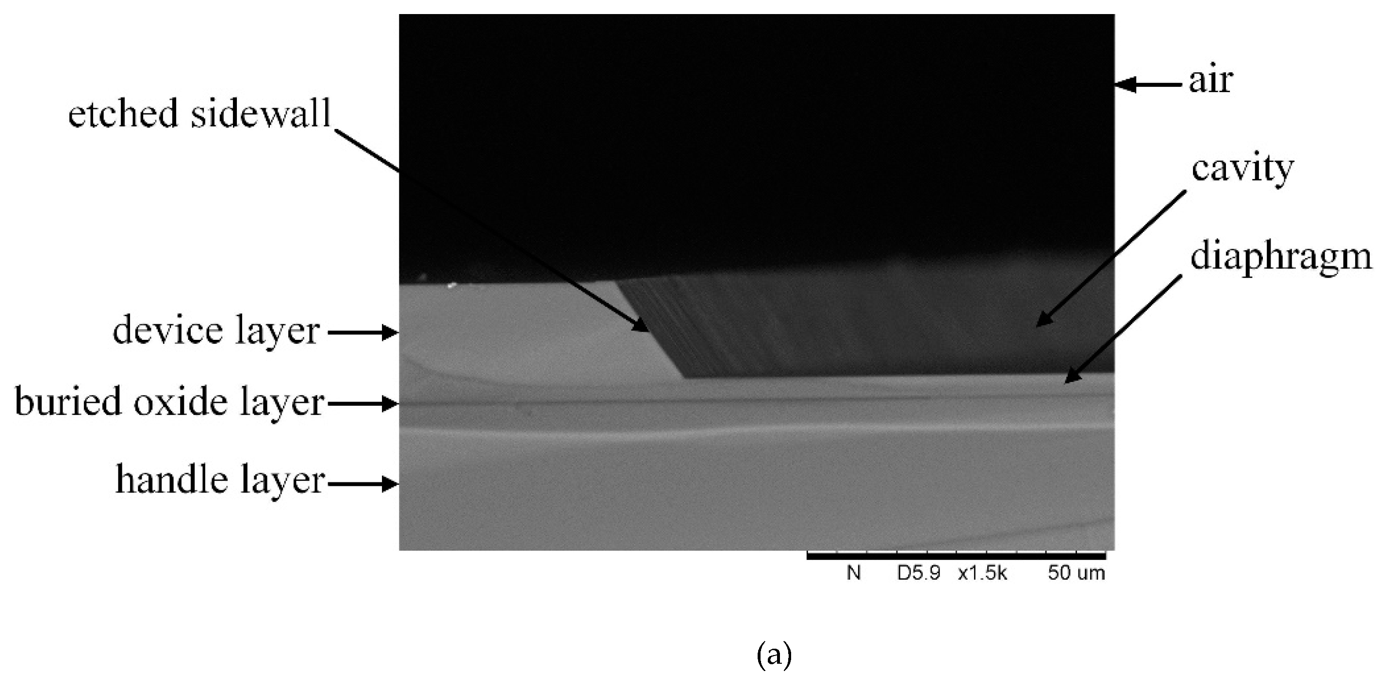 Sensors 19 01503 g003a Sensors 19 01503 g003a