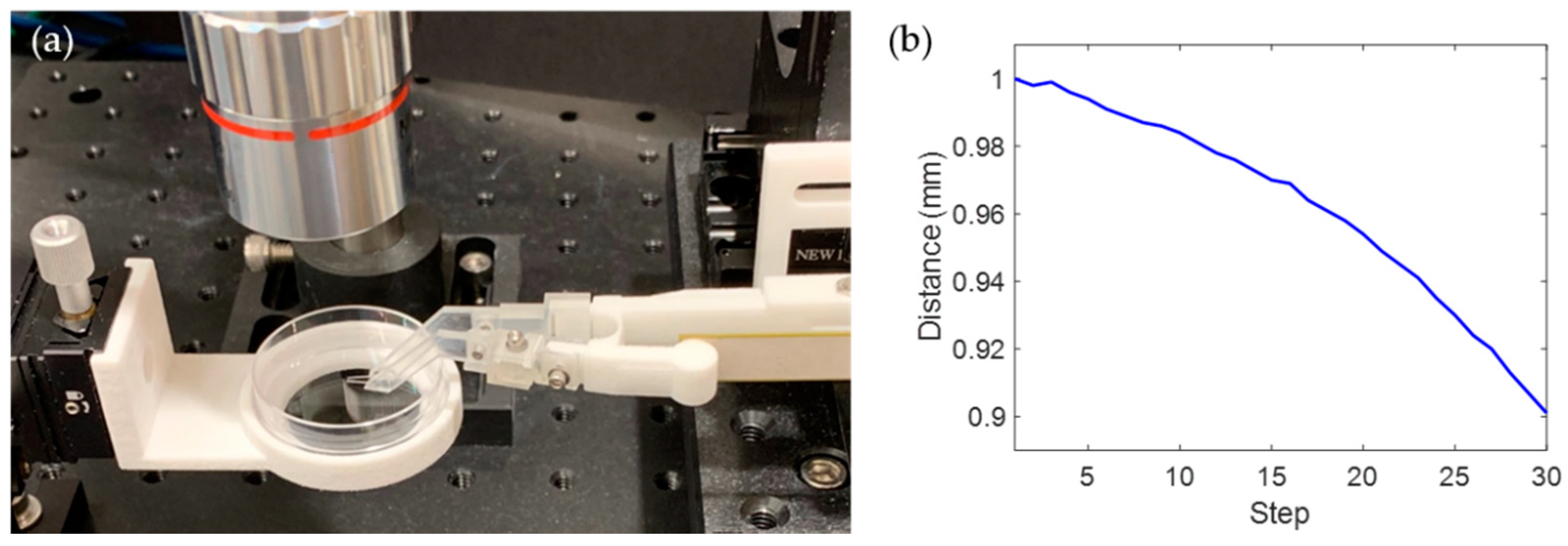Sensors 19 01506 g003