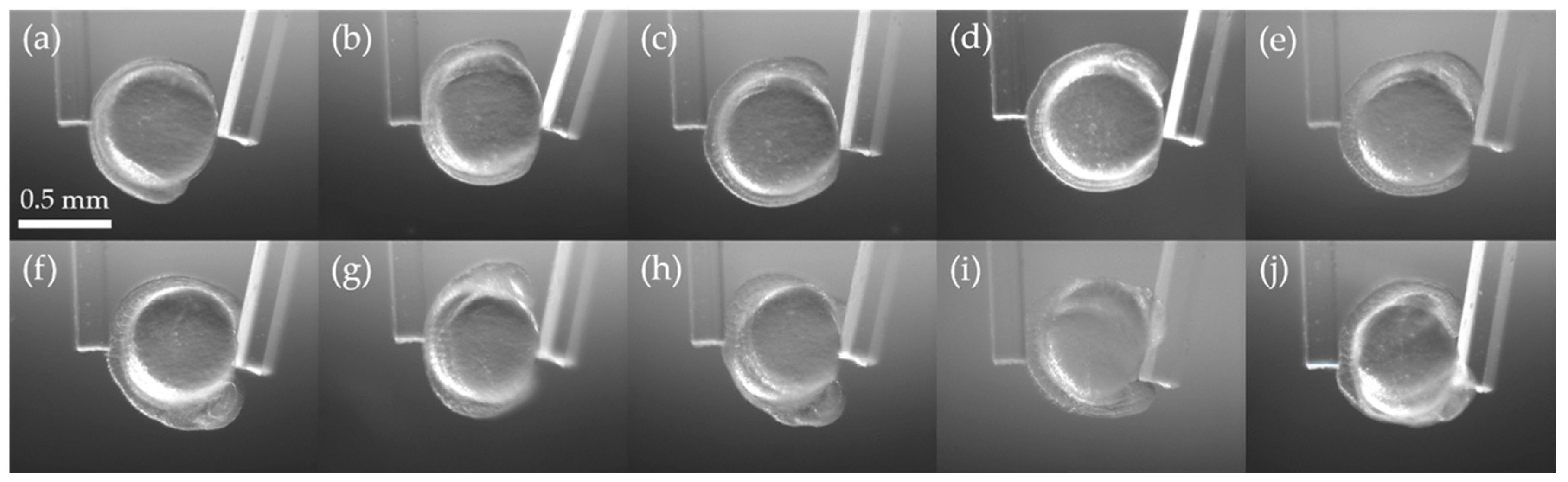 Sensors 19 01506 g004