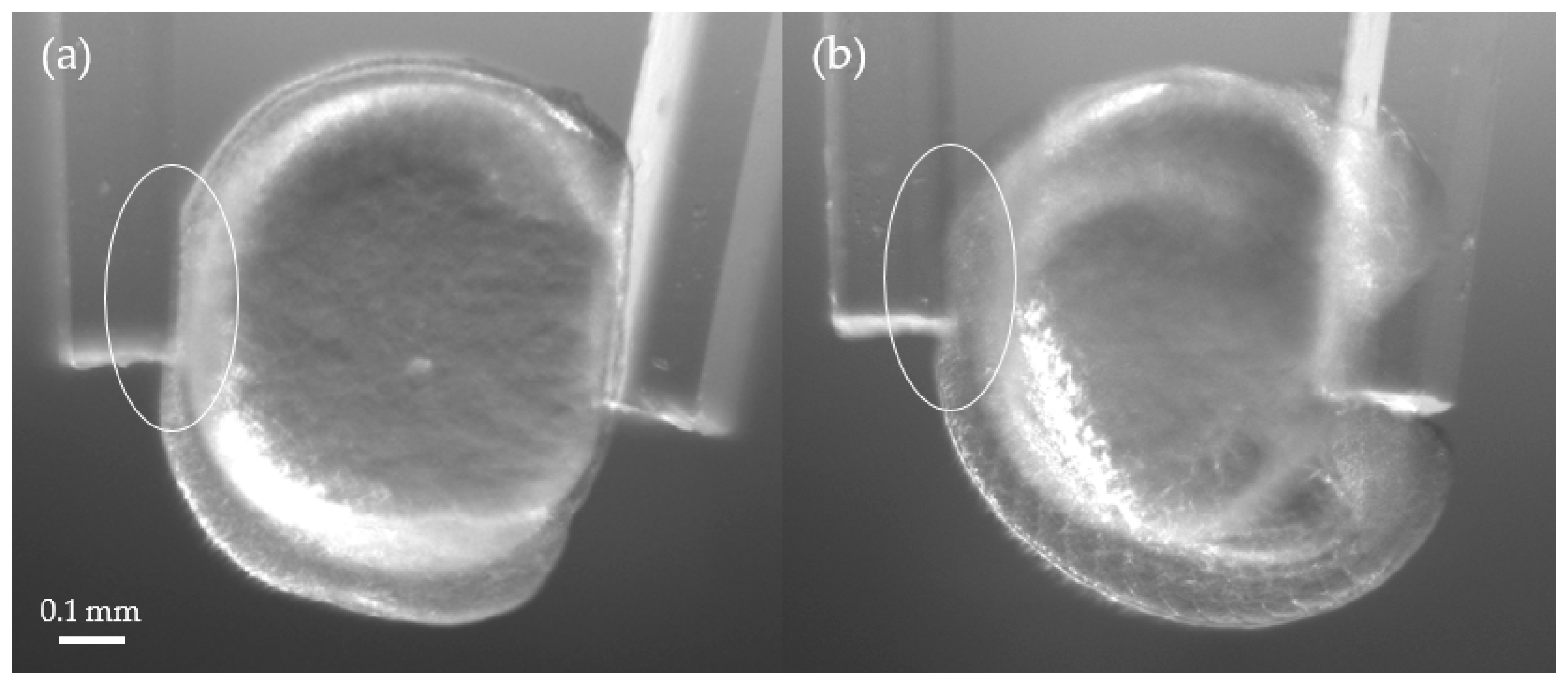 Sensors 19 01506 g007
