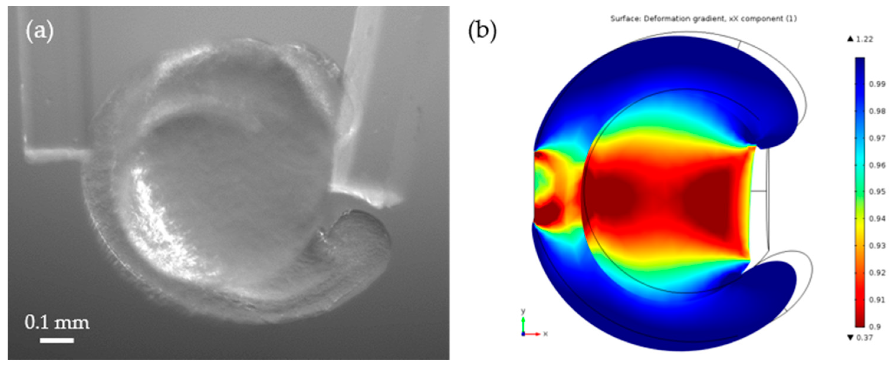 Sensors 19 01506 g009