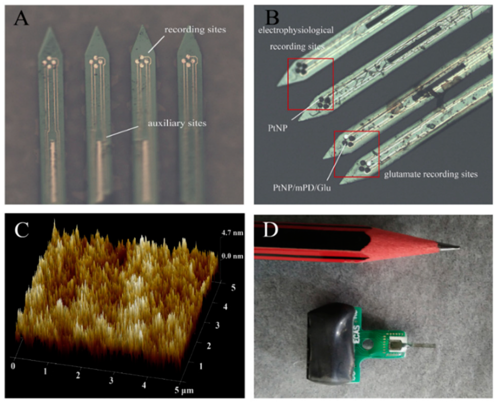 Sensors 19 01525 g004