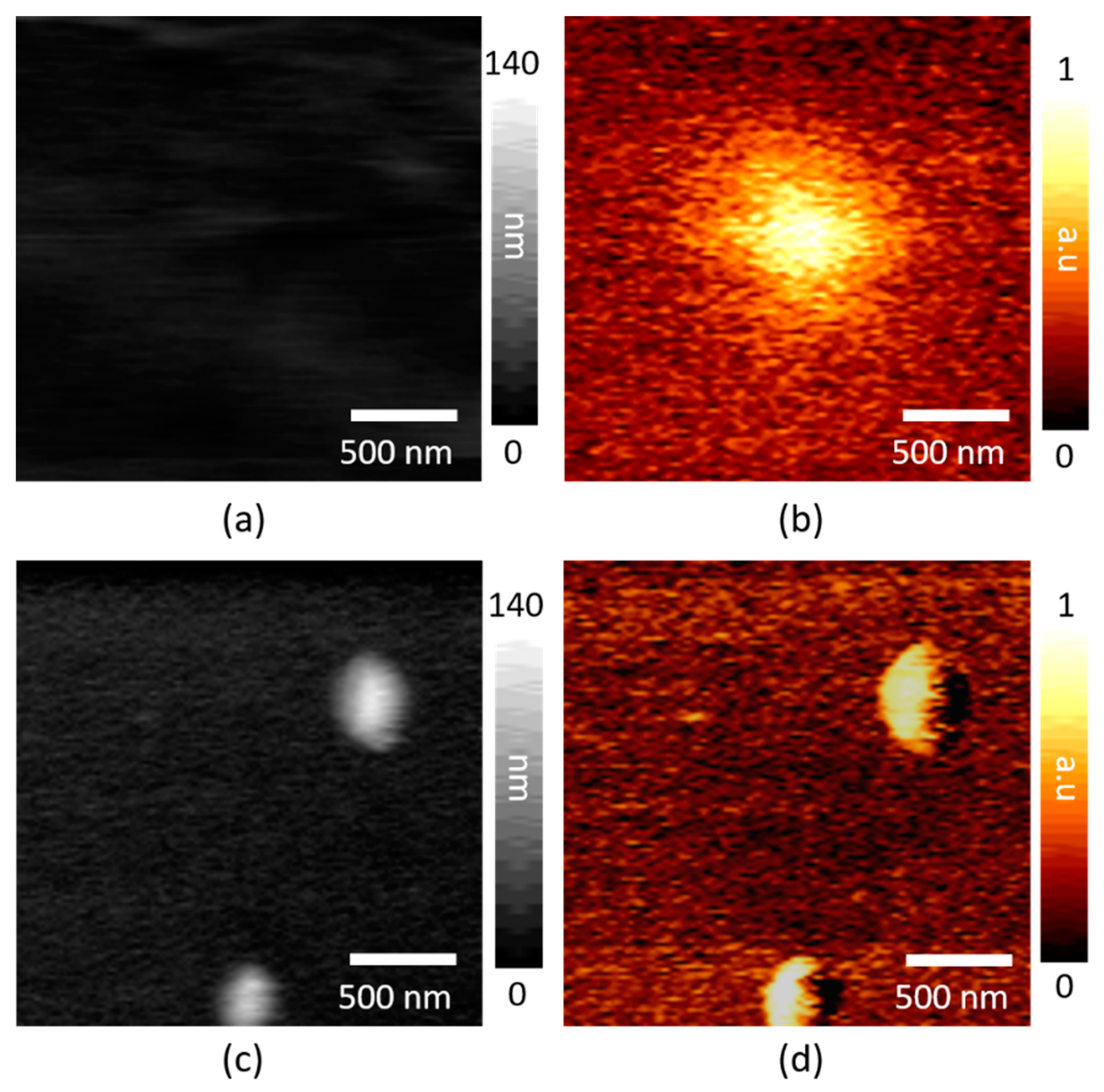 Sensors 19 01530 g004