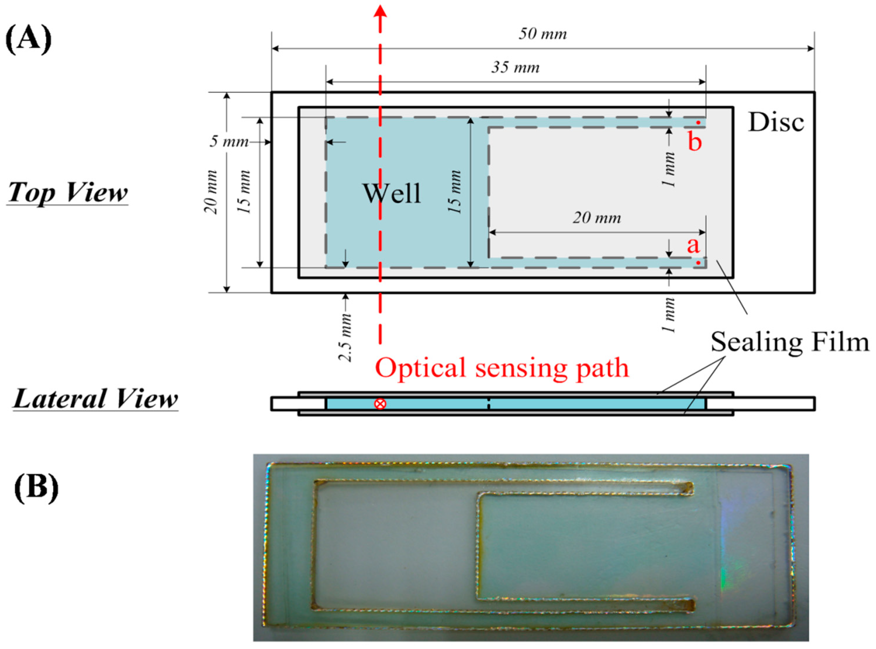 Sensors 19 01571 g002