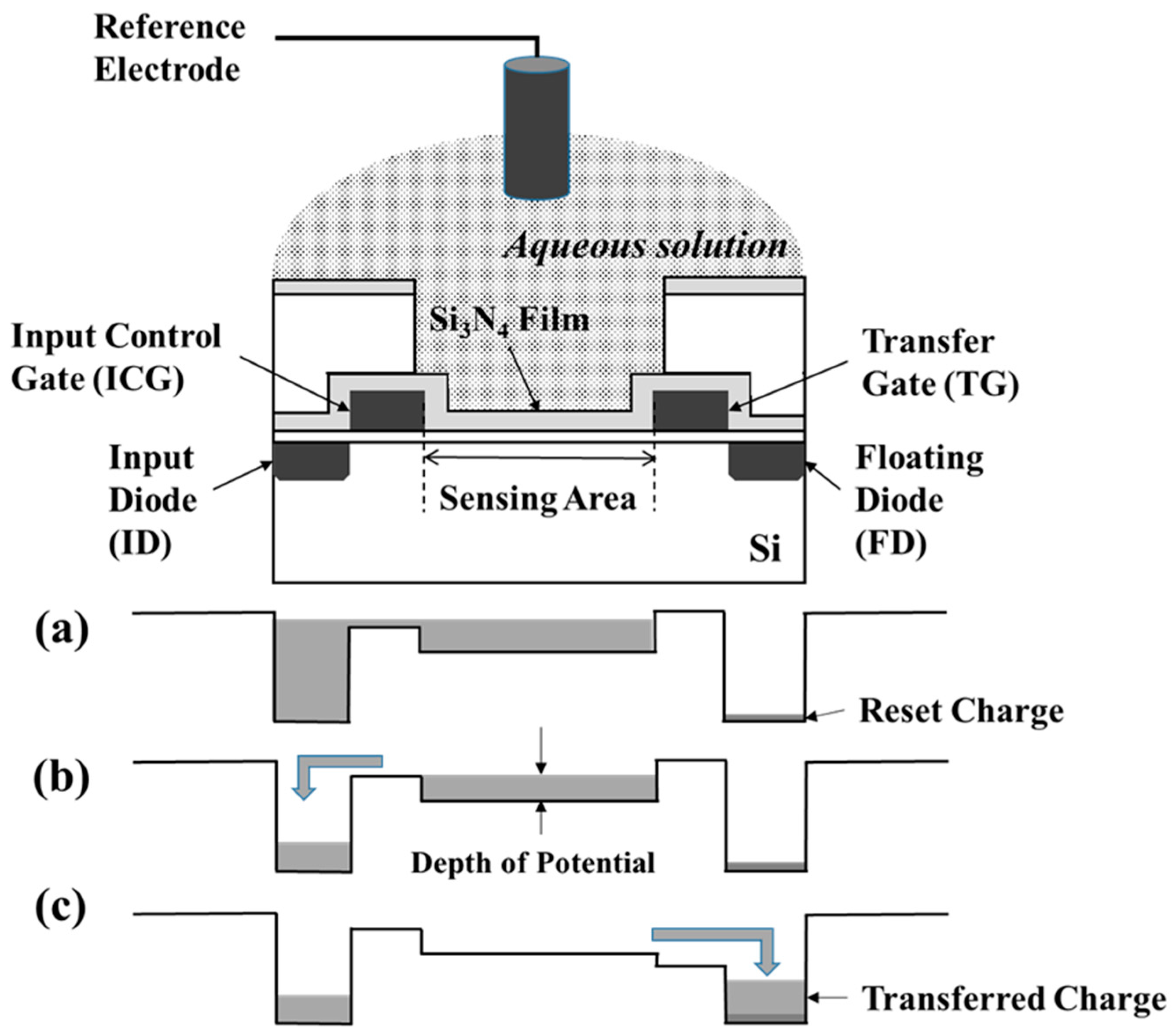 Sensors 19 01582 g001
